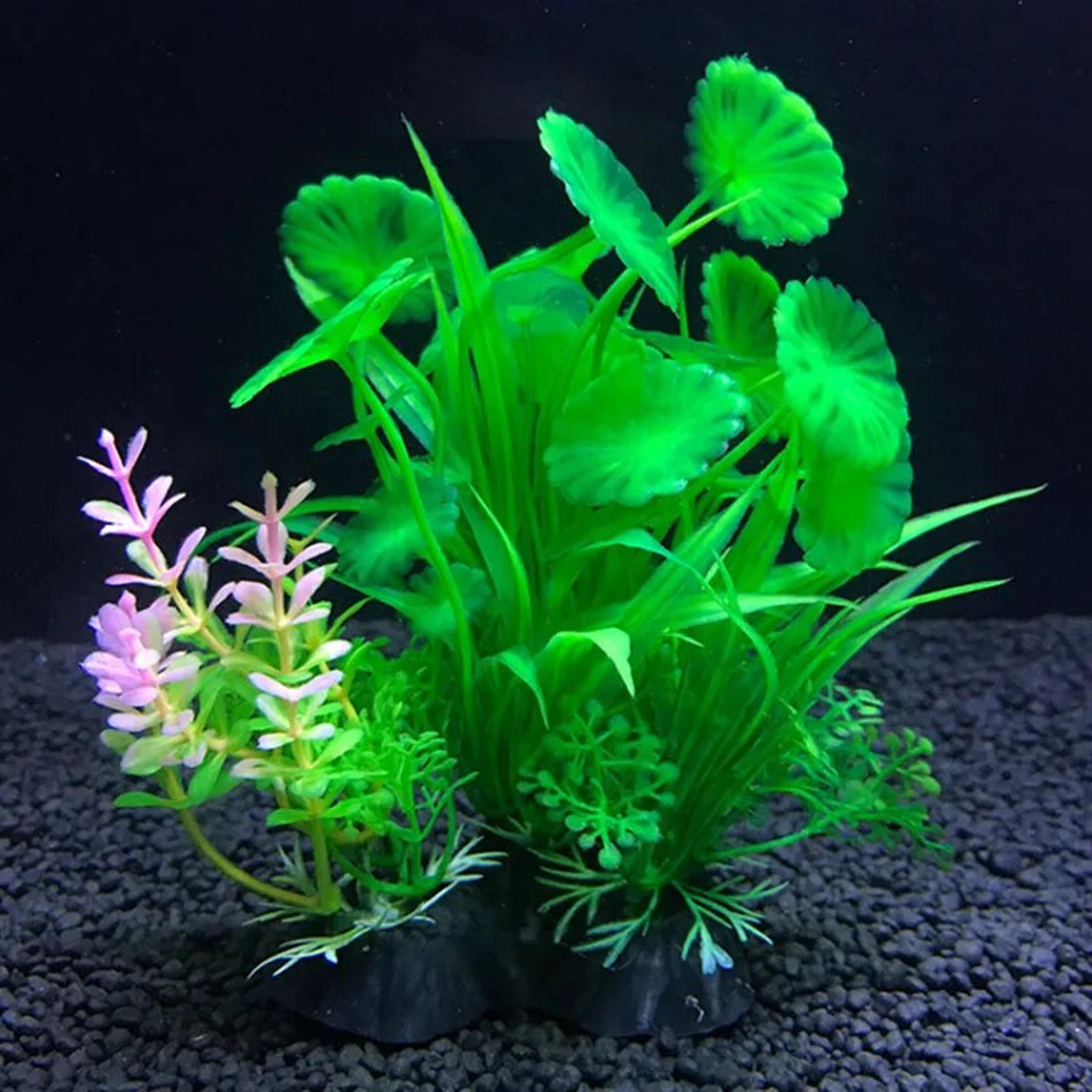 aquarium decor: artificial aquatic plants & ornaments