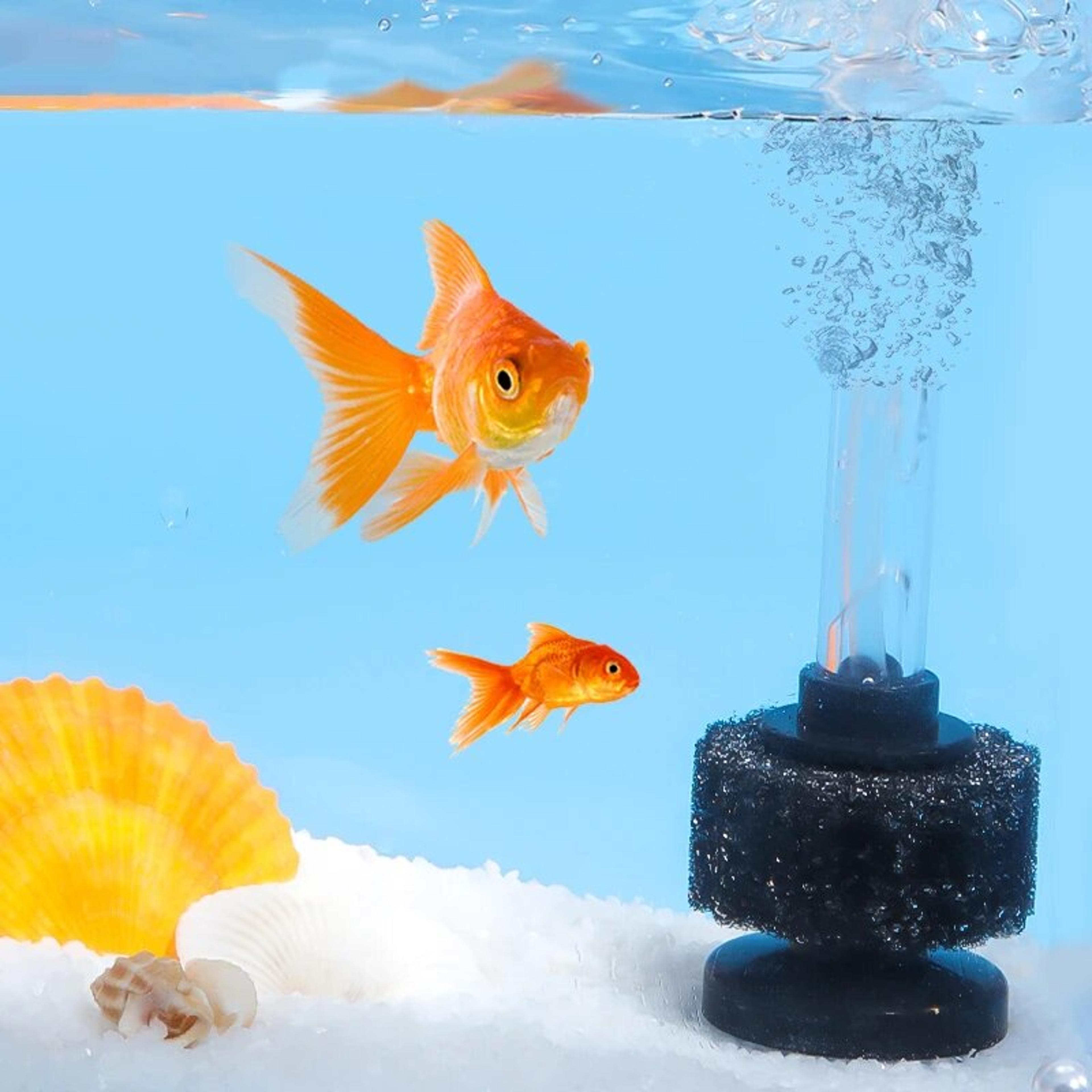mini aquarium sponge filter for fish tanks & ponds - biochemical filtration