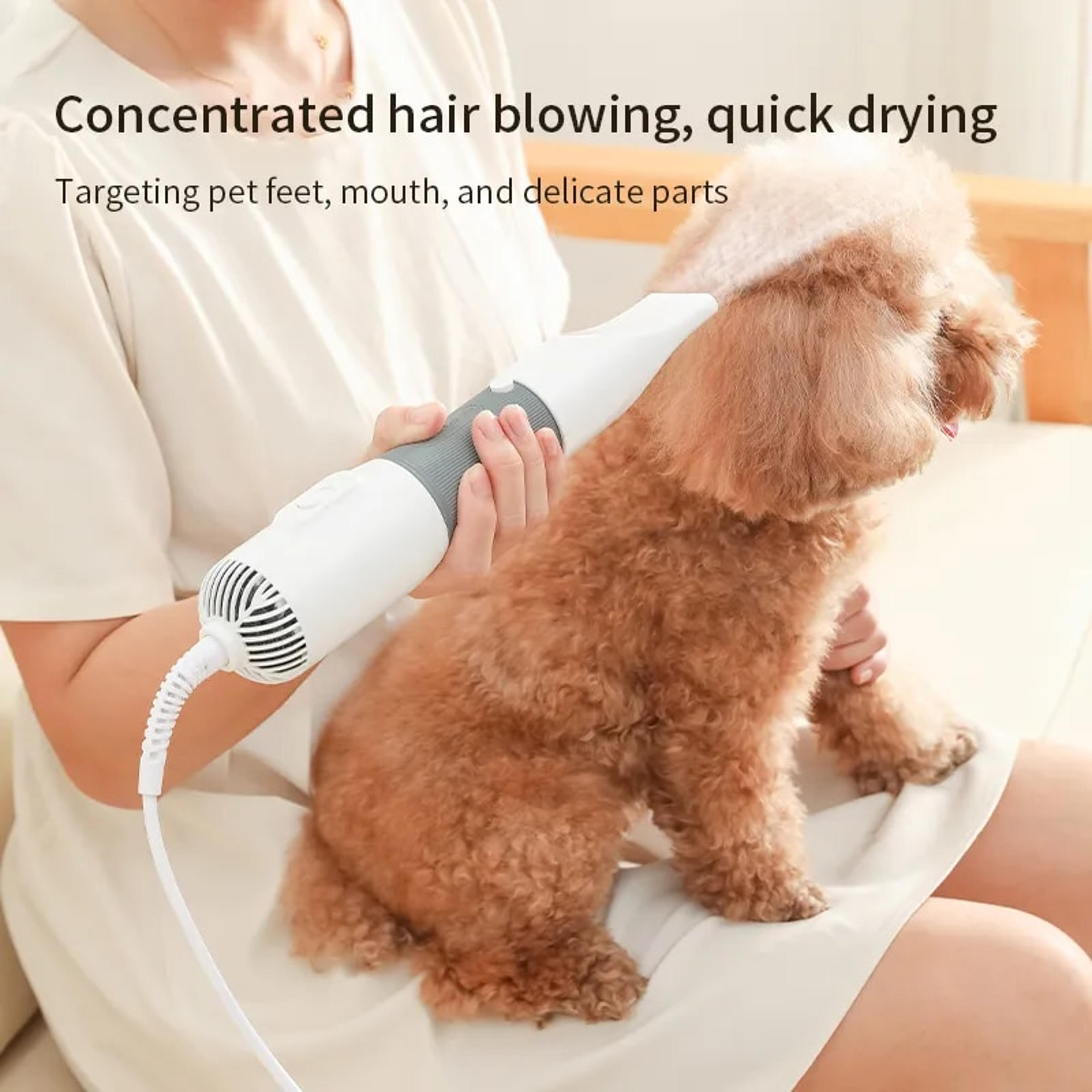 3-in-1 pet dryer: quiet dog hair blower & comb brush for grooming cats & dogs