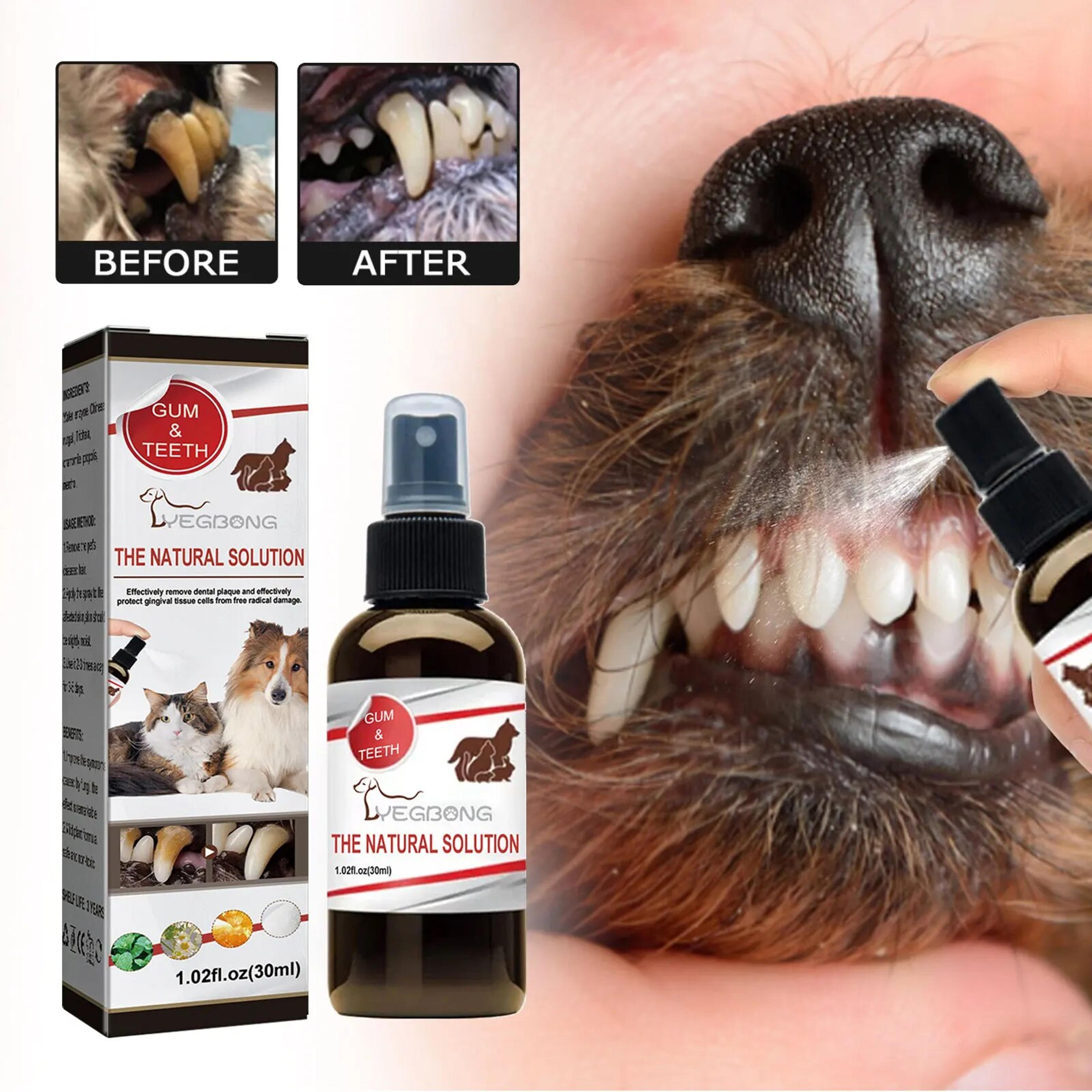 pet tooth cleaning spray for dogs & cats - oral care deodorizer & bad breath remover