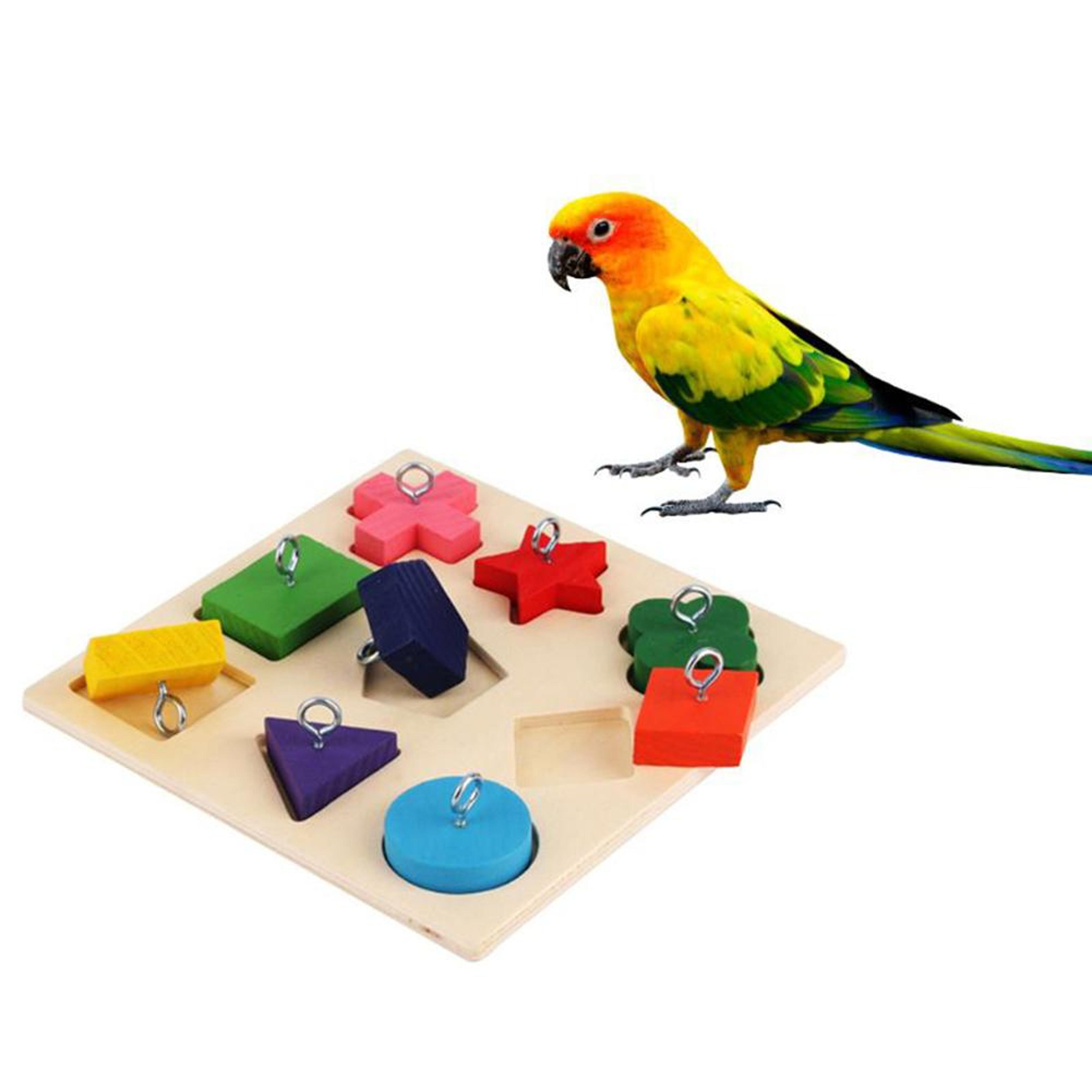 colorful wooden parrot iq training toys: safe & educational bird supplies