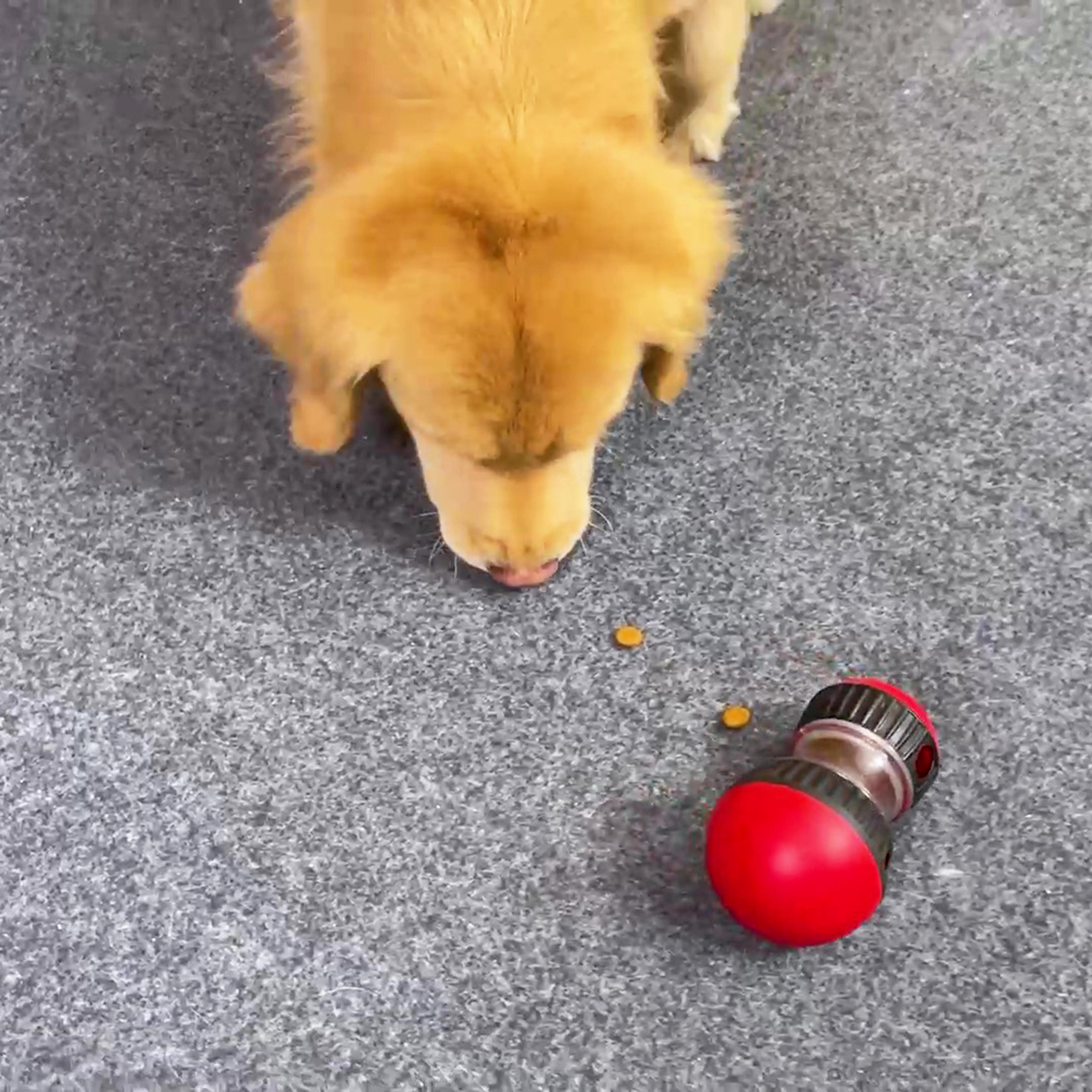 interactive dog toy for small & large dogs, slow feeder & iq booster for puppies, cats, chihuahuas & beagles