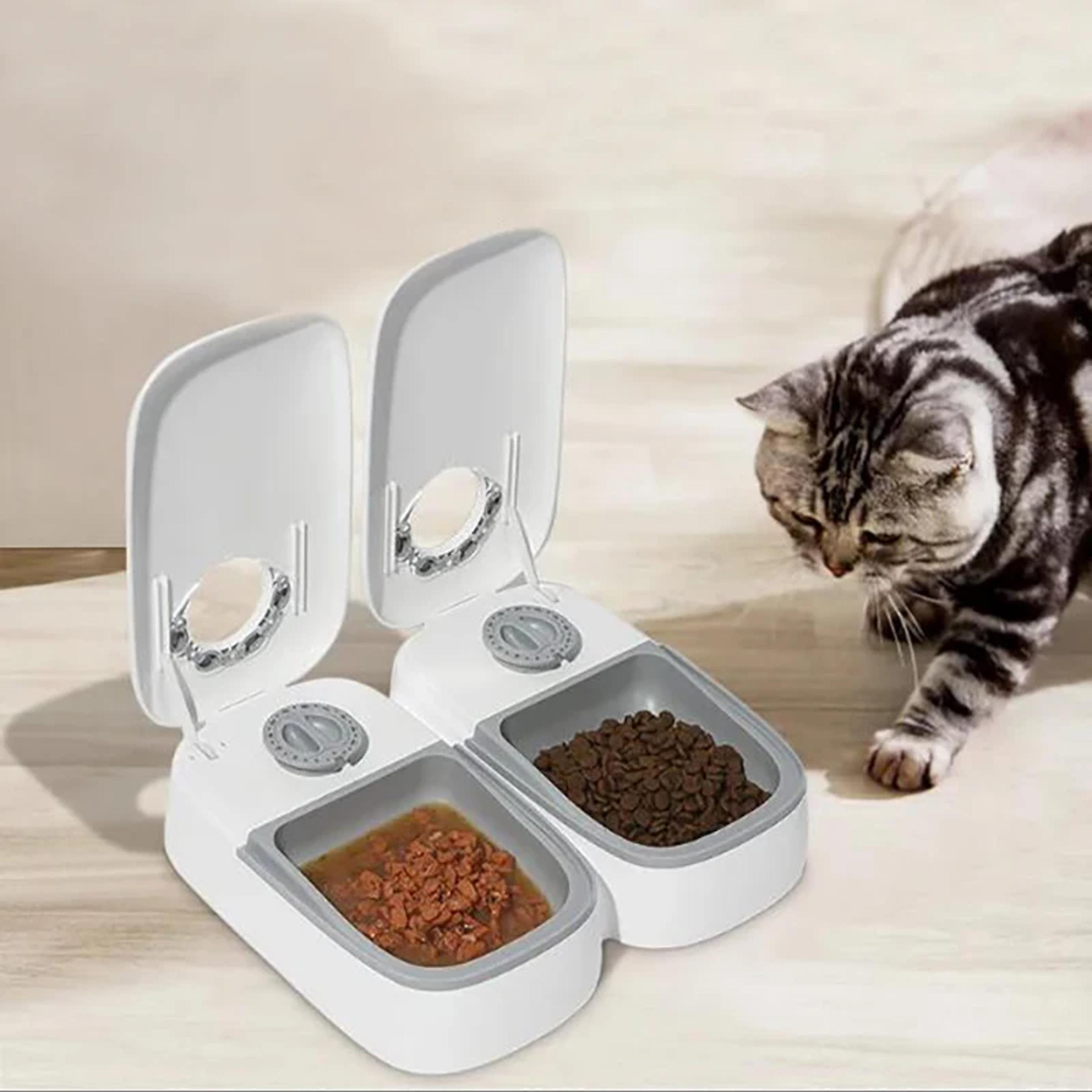 smart dual bowl automatic pet feeder with timer & fresh-keep cooling for cats and dogs