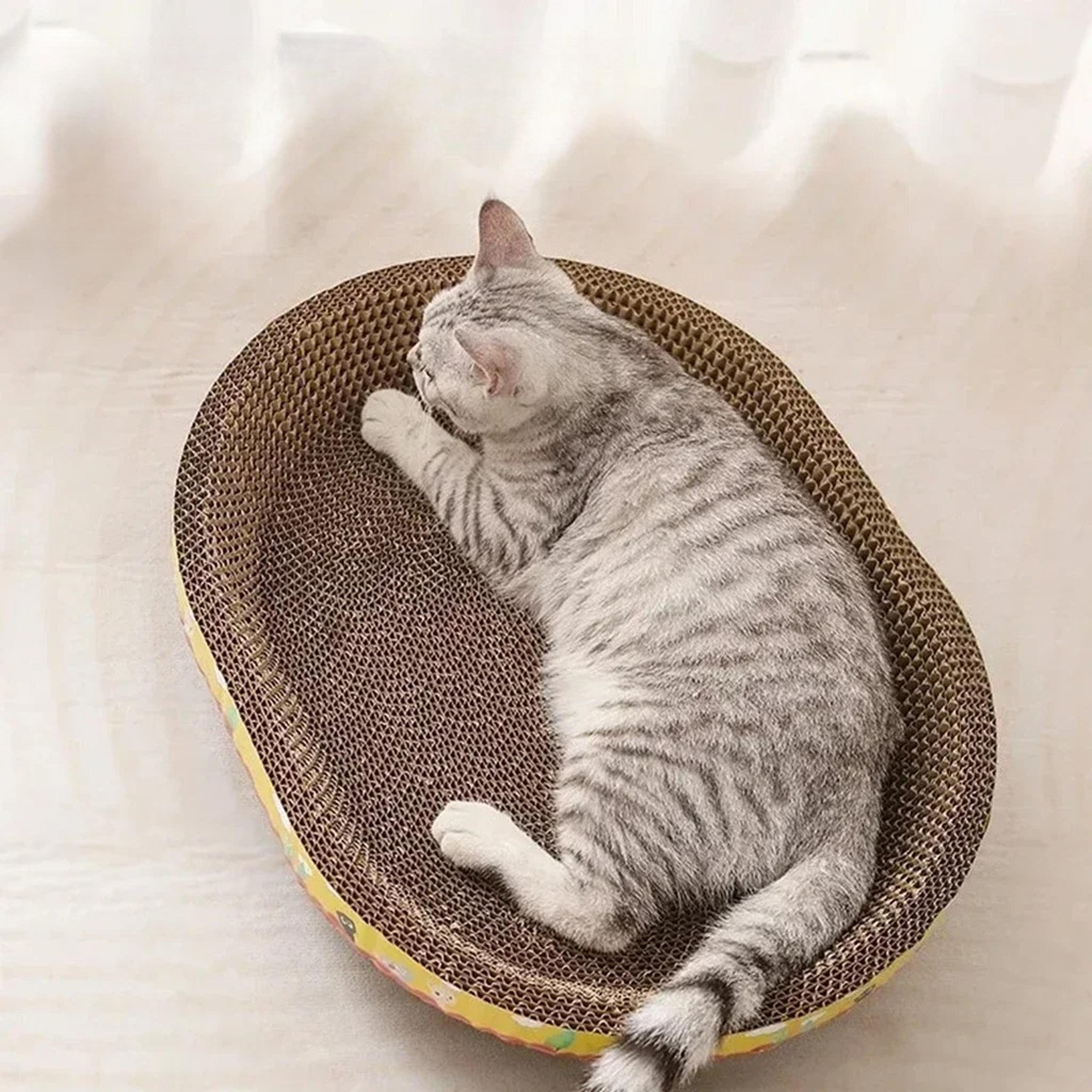 cat scratcher bed durable cat scratching board for furniture protection & claw care