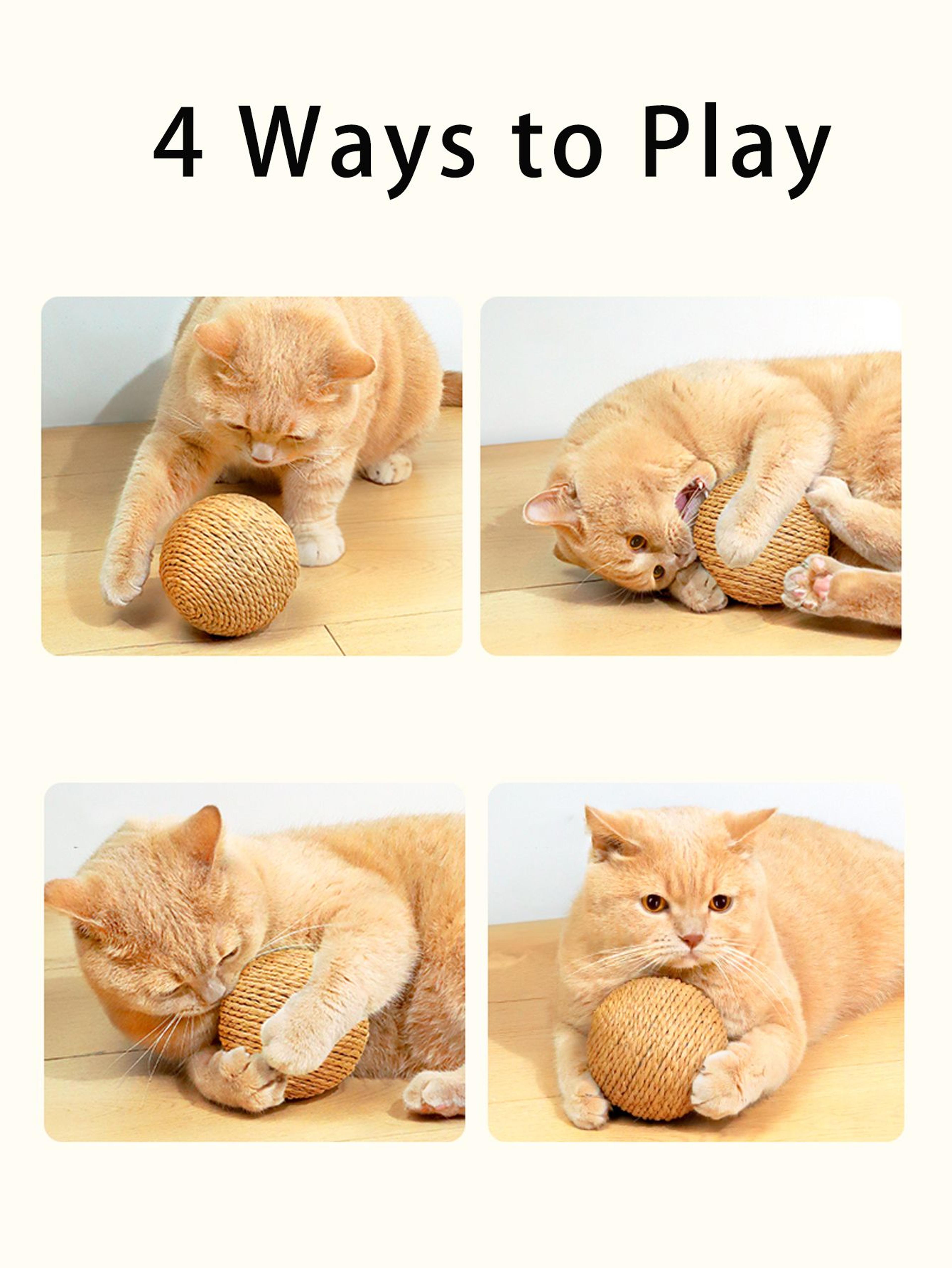 cat scratching ball toy for teeth cleaning & healthy play