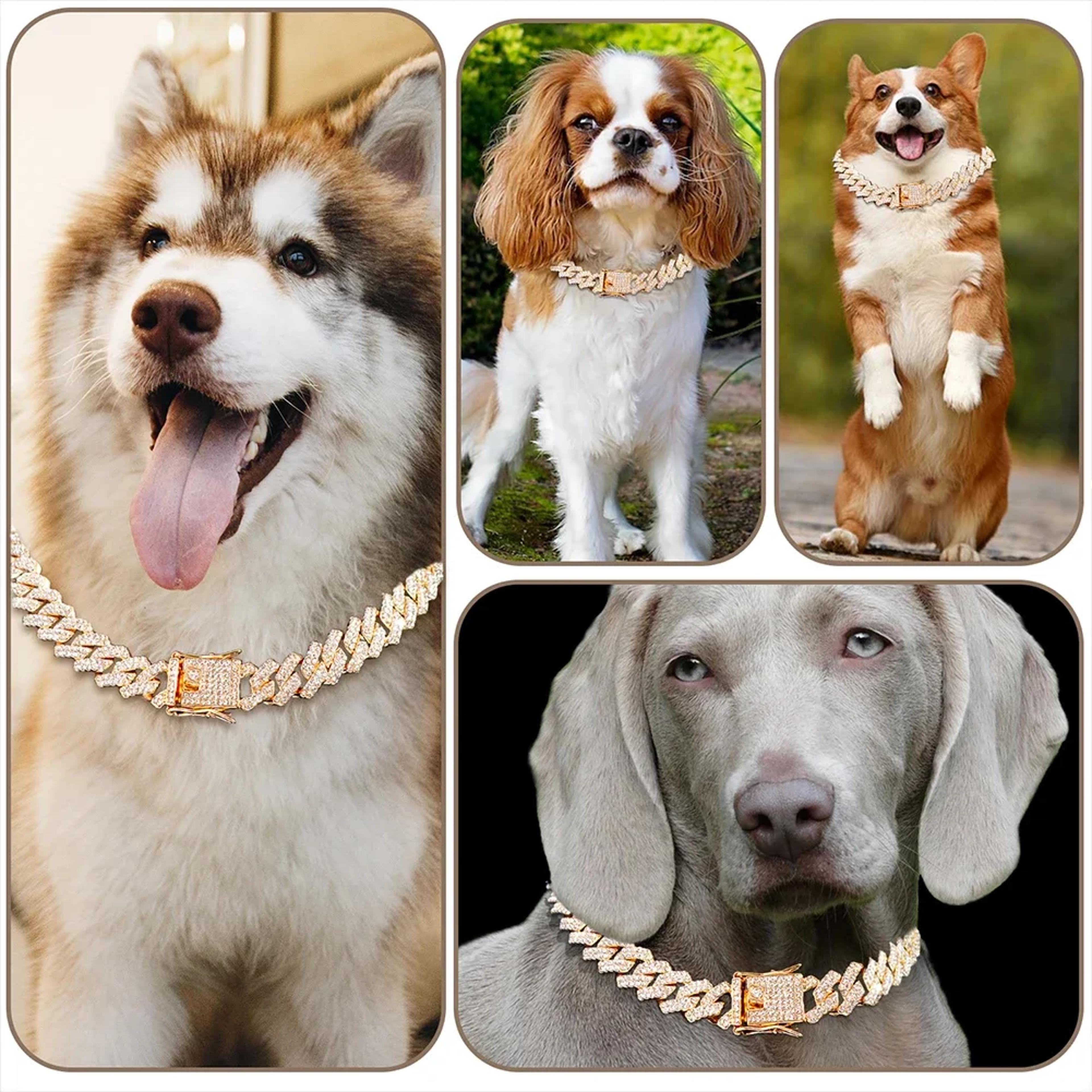 luxury cuban link dog collar with secure buckle | bling metal pet jewelry for dogs & cats