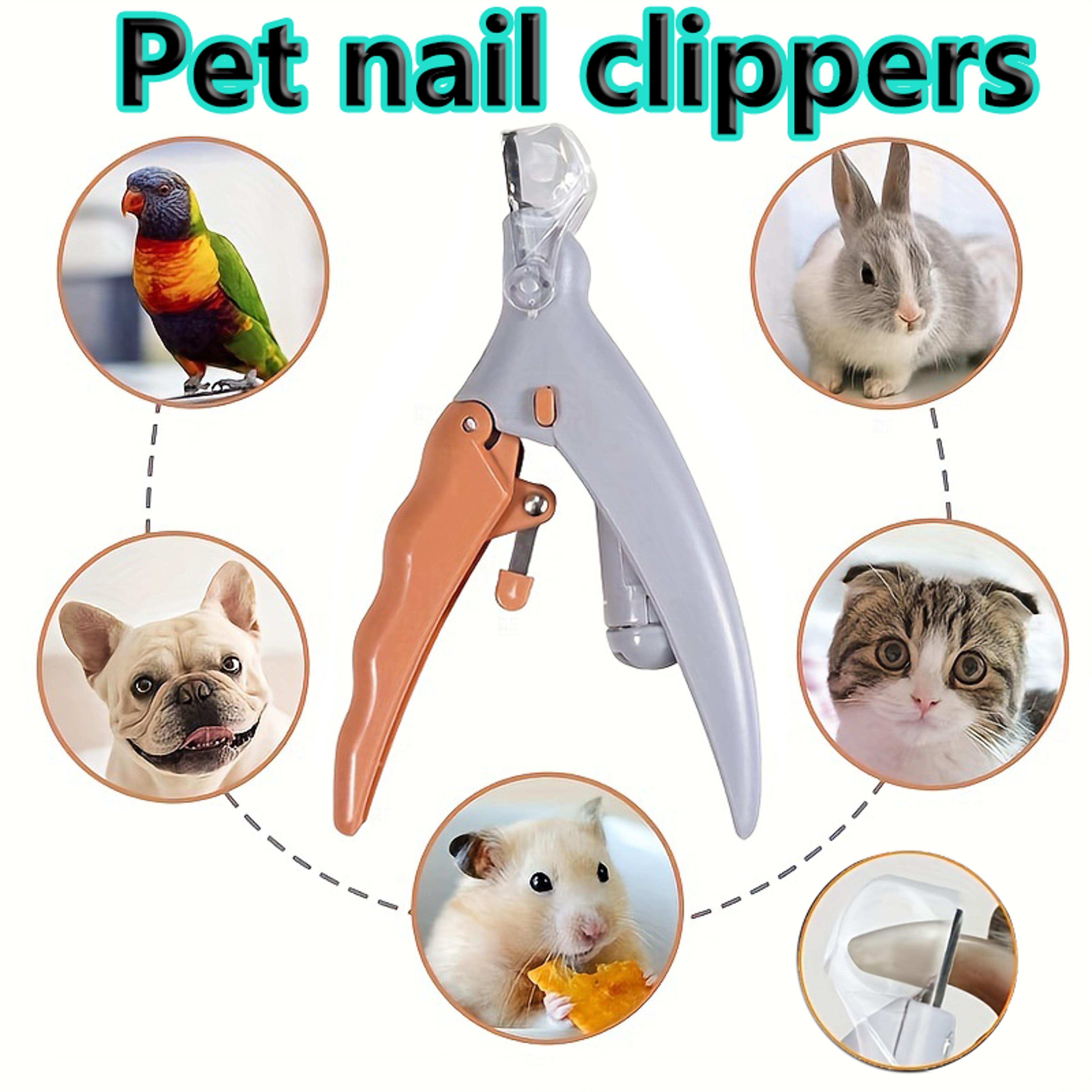 pet nail clipper with magnifier safe pet nail clipper for dogs & cats