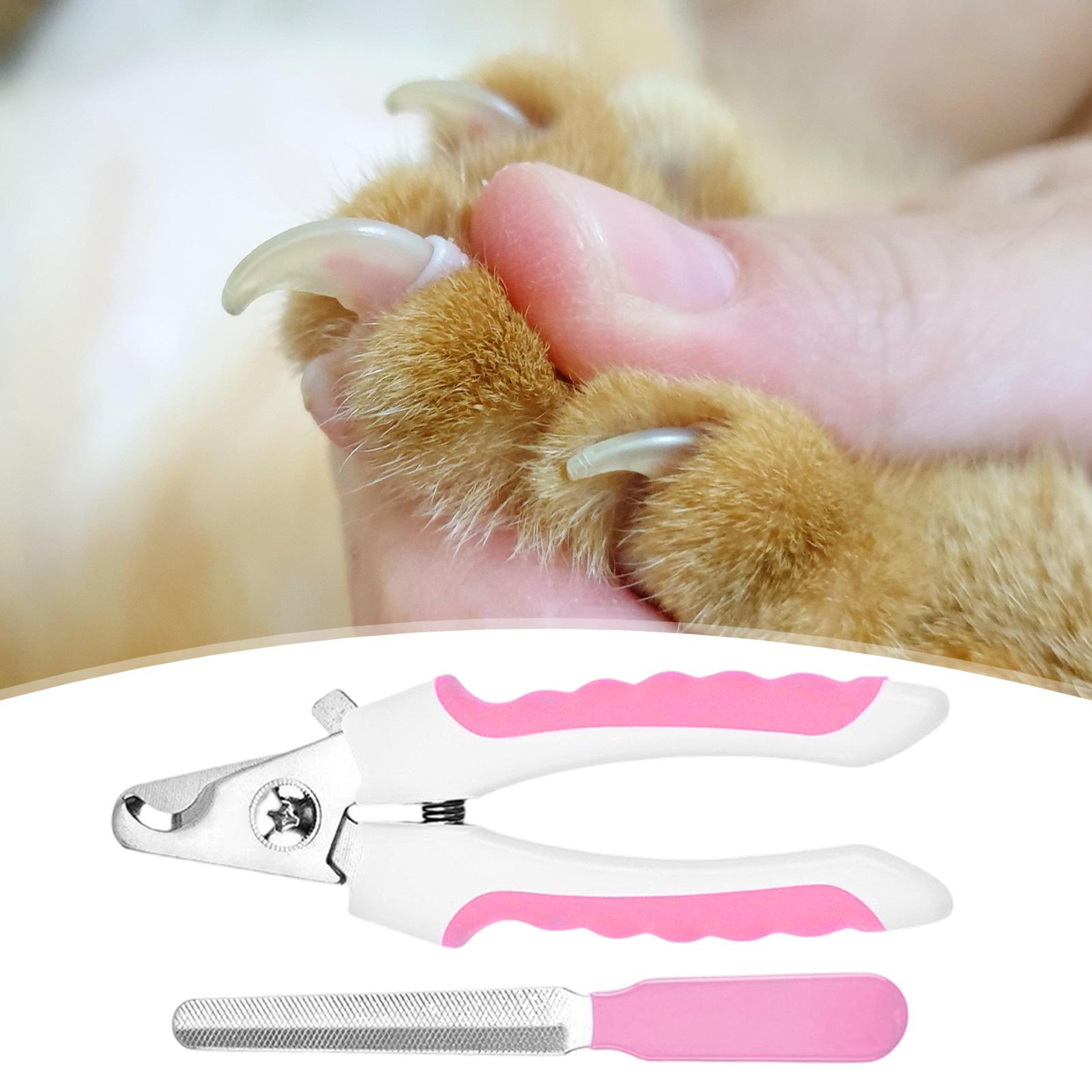 premium pet nail clippers for dogs & cats stainless steel grooming tool