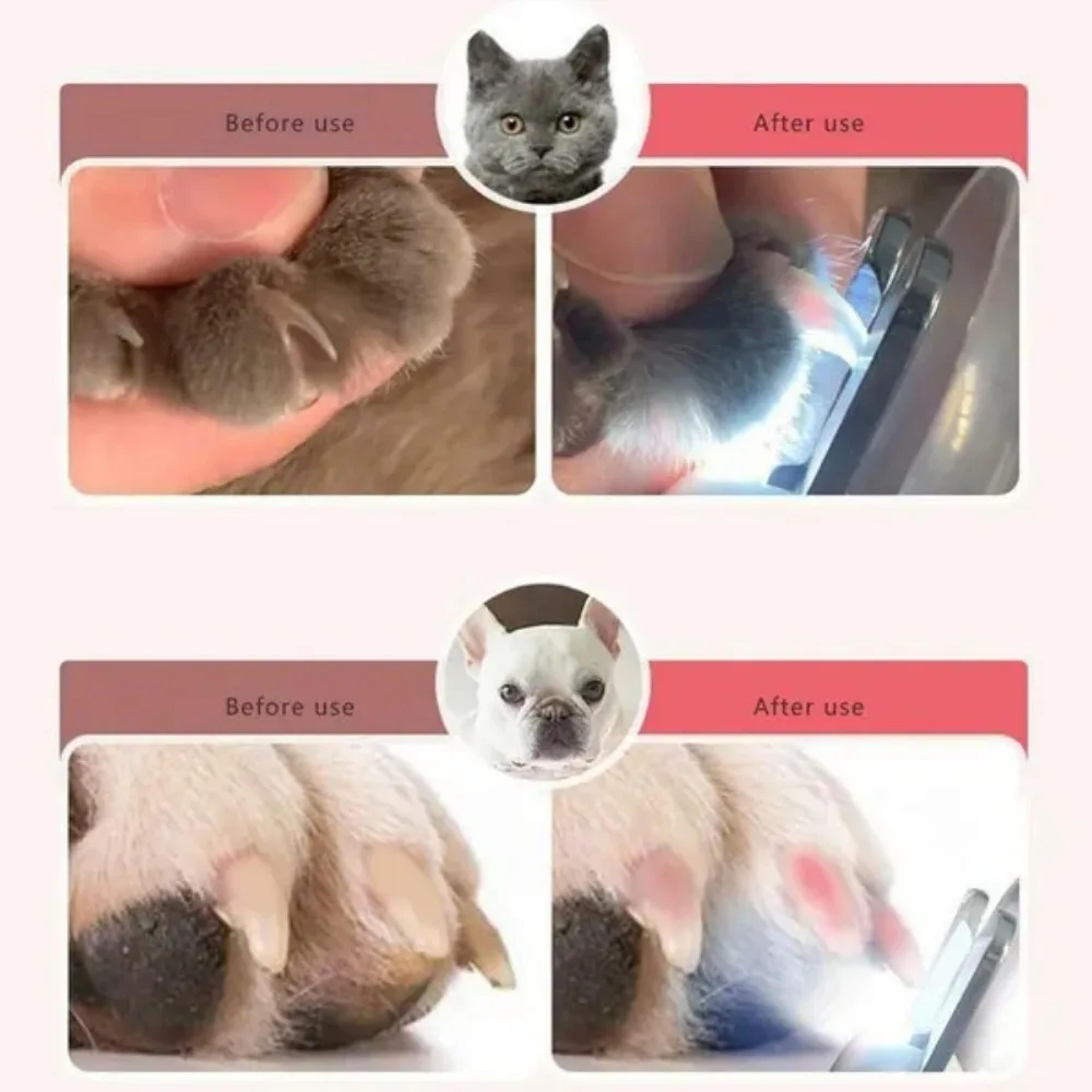 premium led pet nail clippers for dogs & cats safe grooming trimmer