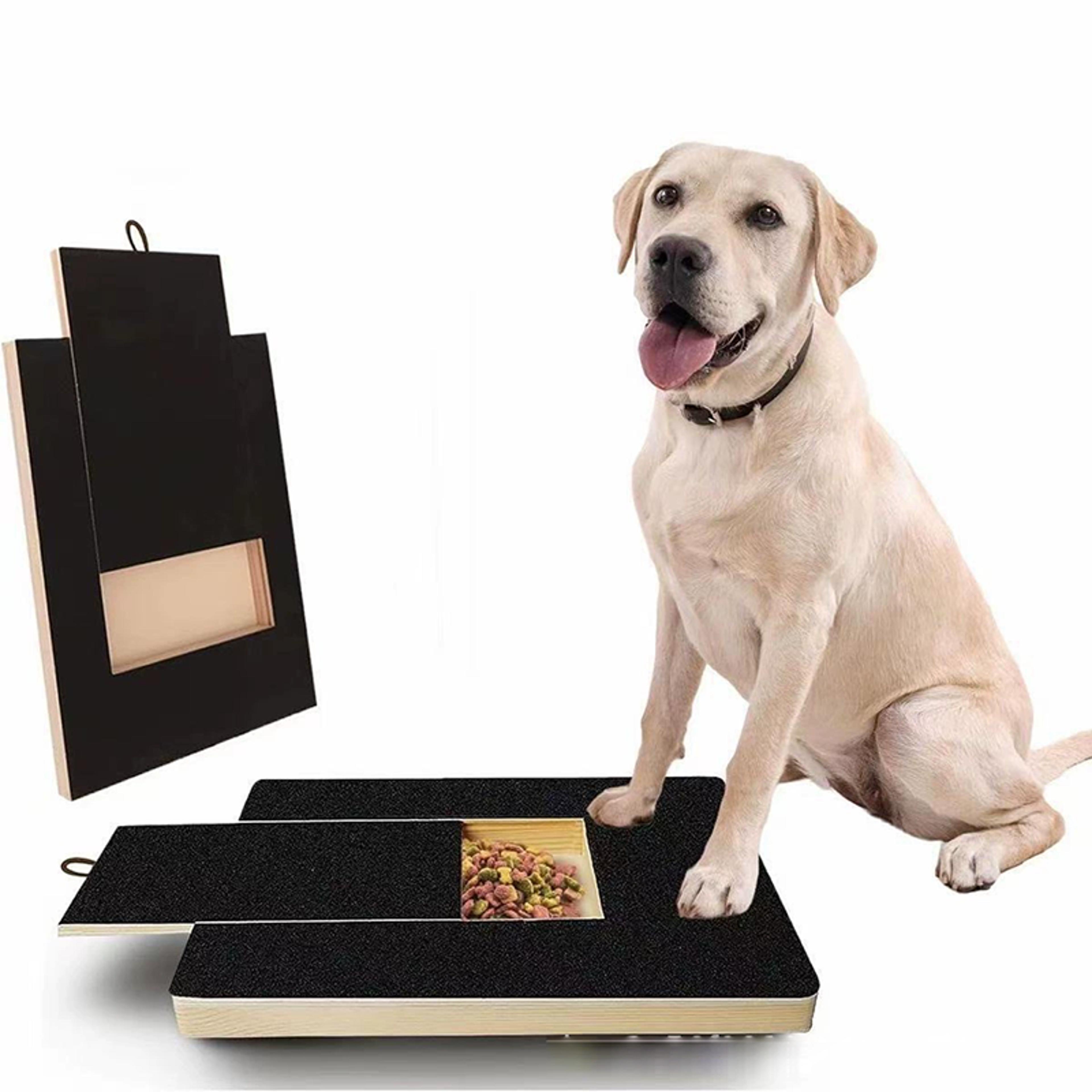 premium dog nail scratch board with built in treat box pet scratching board & nail trim