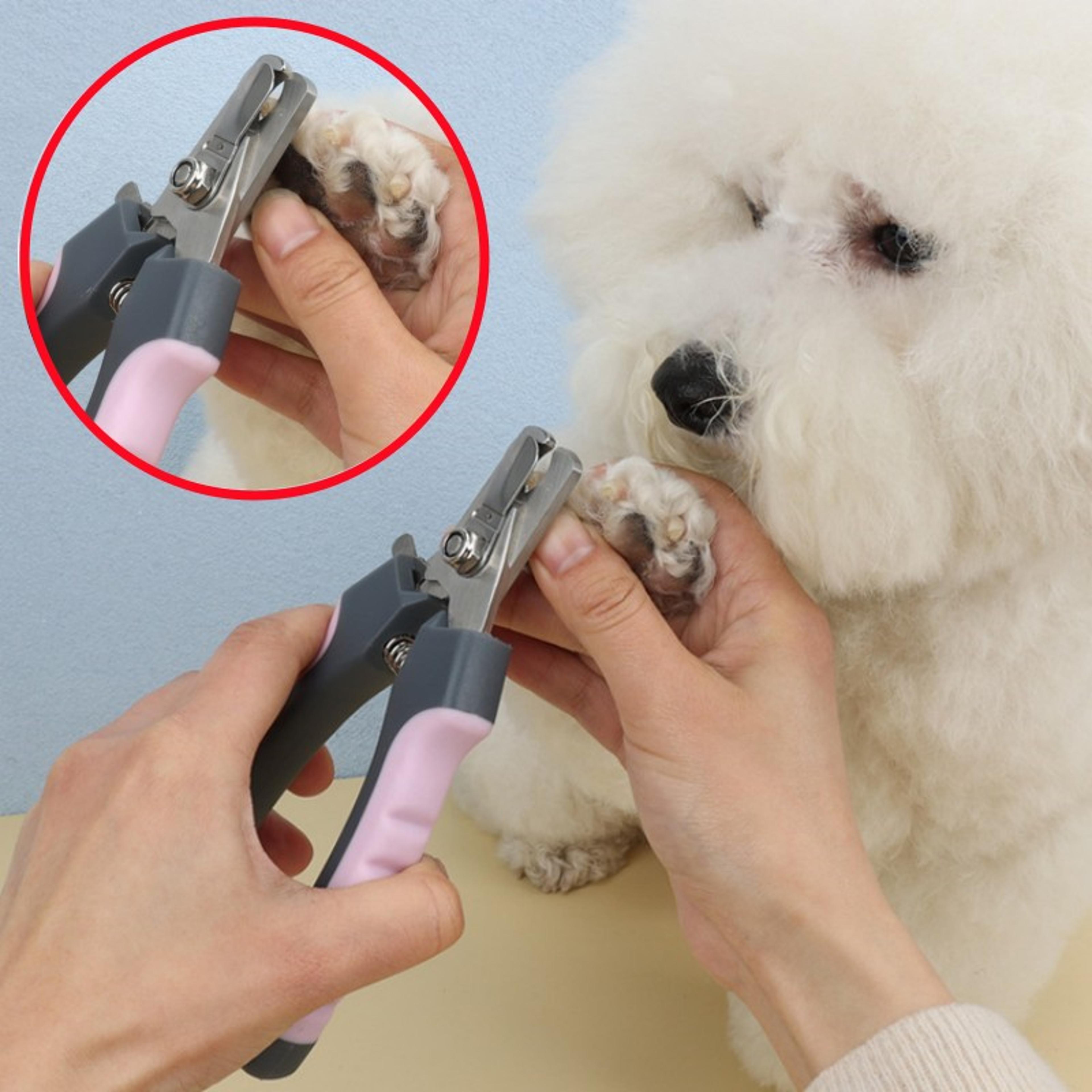 professional stainless steel pet nail clippers for dogs & cats precision grooming trimmer