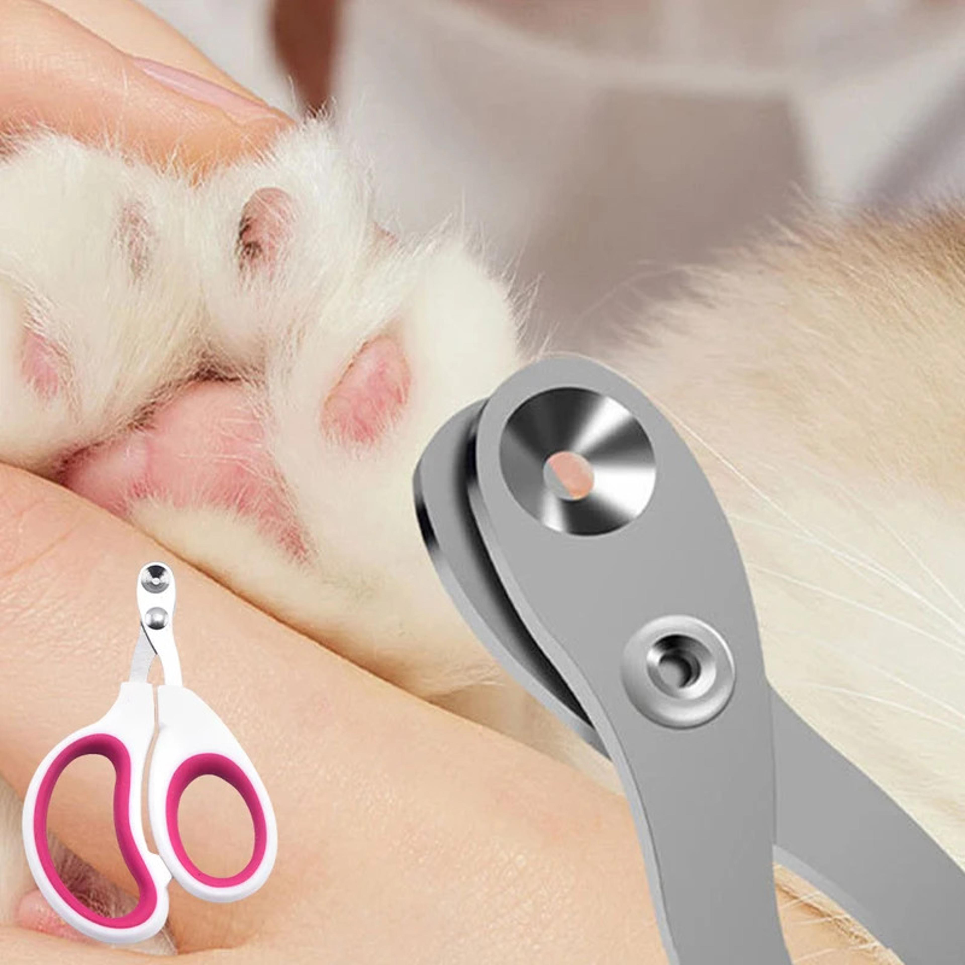 precision pet nail clippers for birds, reptiles & small animals stainless steel grooming trimmer