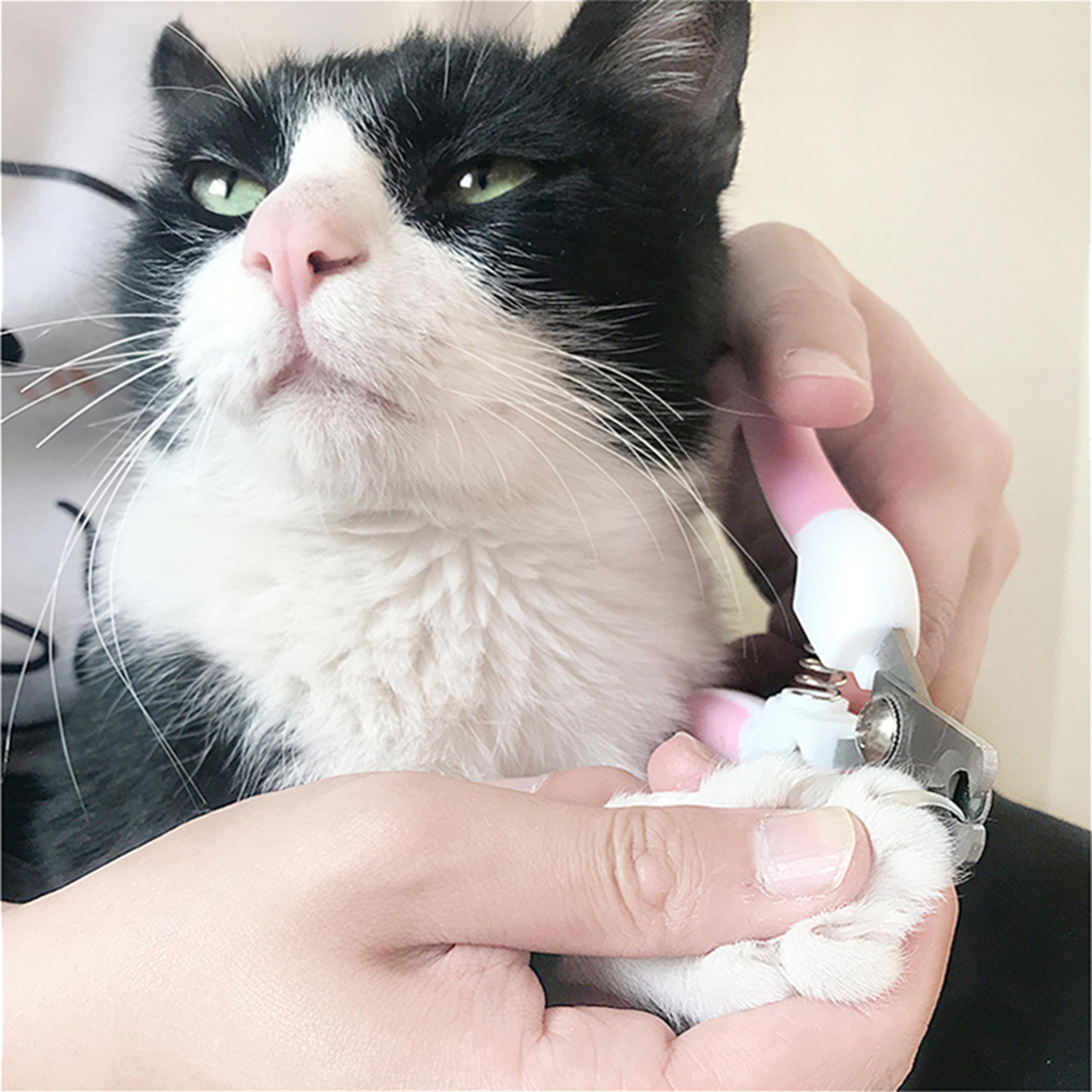 professional pet dog nail clippers & cat nail clippers stainless steel grooming tool