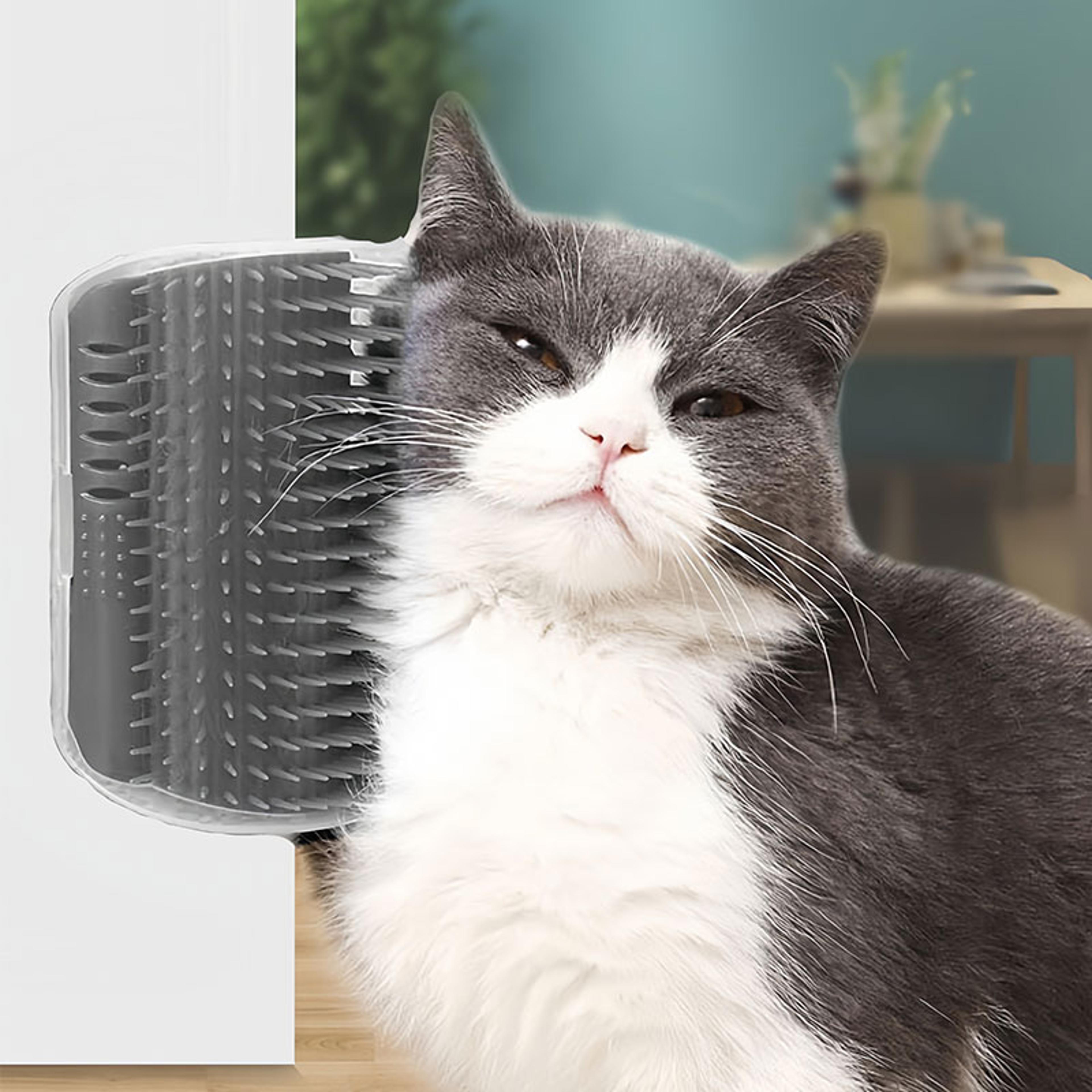 self grooming cat scratcher massager & pet grooming brush