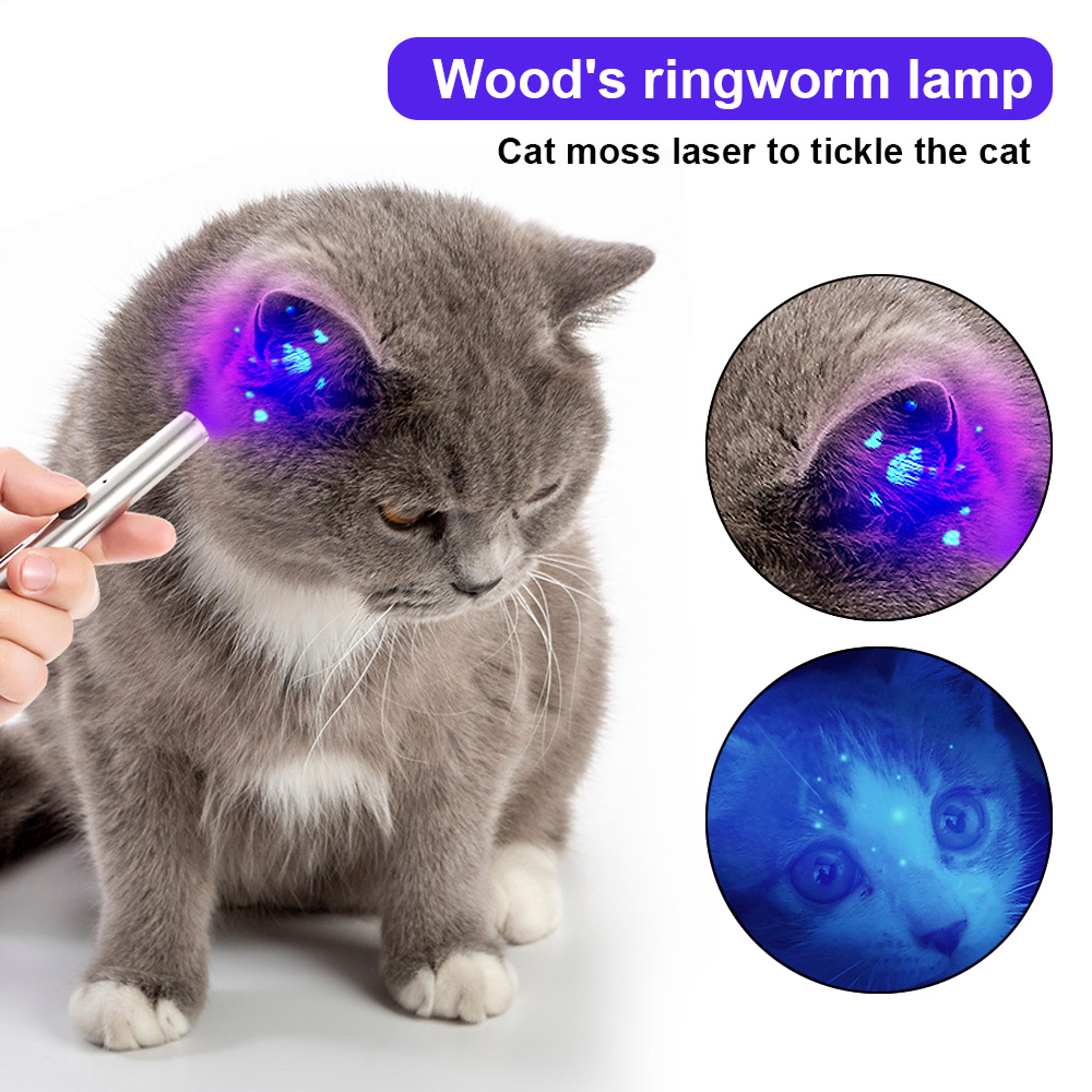 waterproof uv flashlight pet fungus detector & cat moss checker
