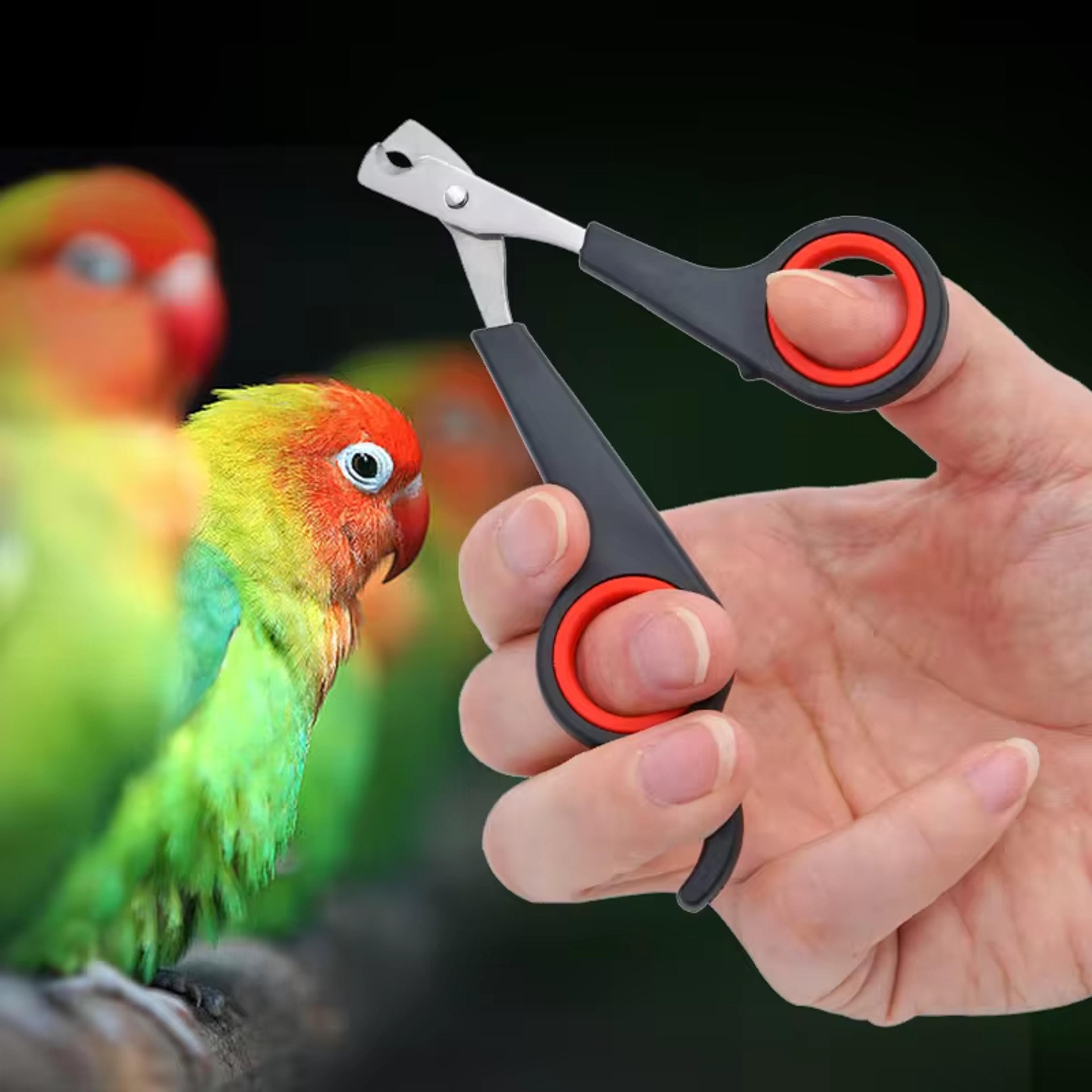 pet nail clippers for birds, cats, dogs & small animals