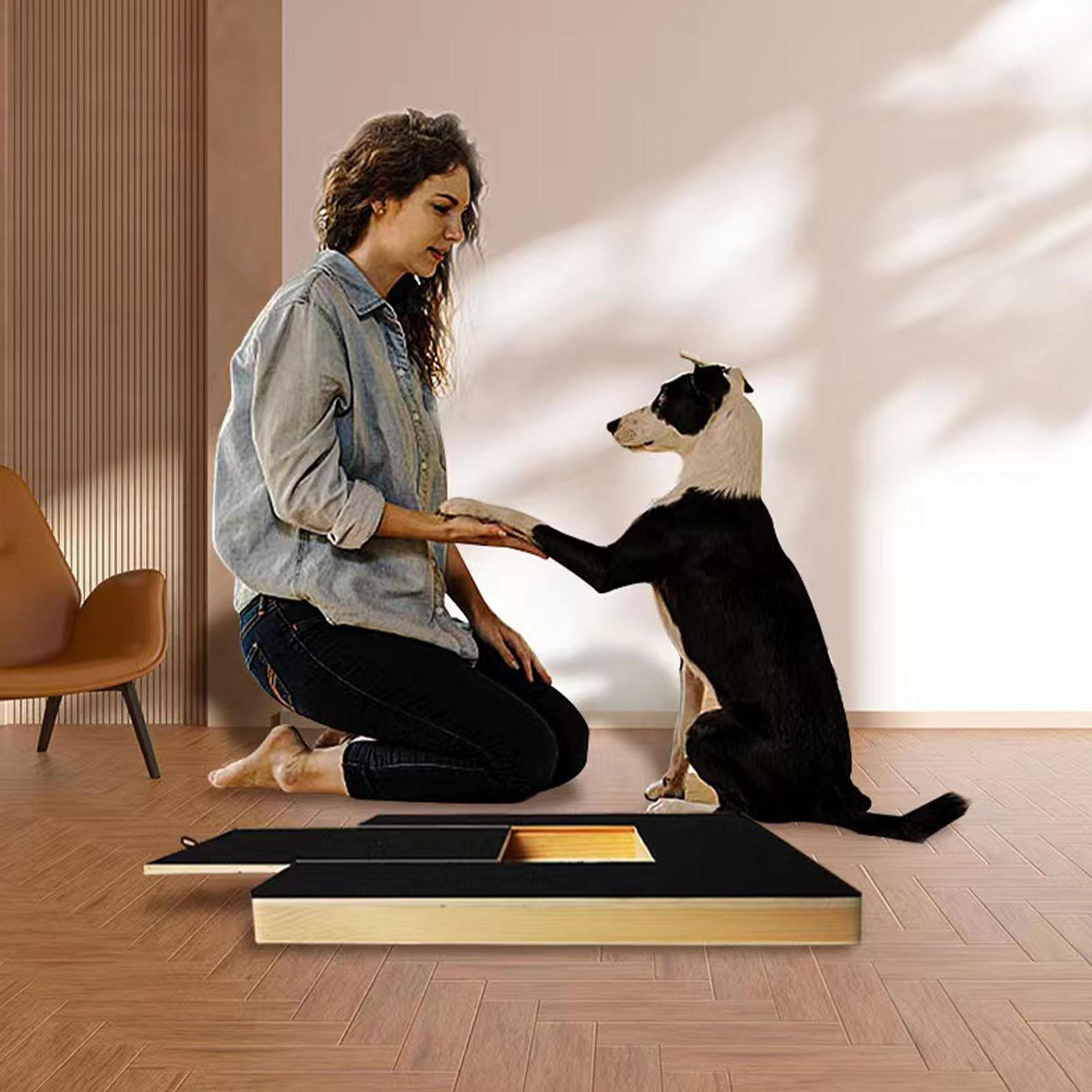 wooden dog nail scratch board with treat box for stress free paw grooming