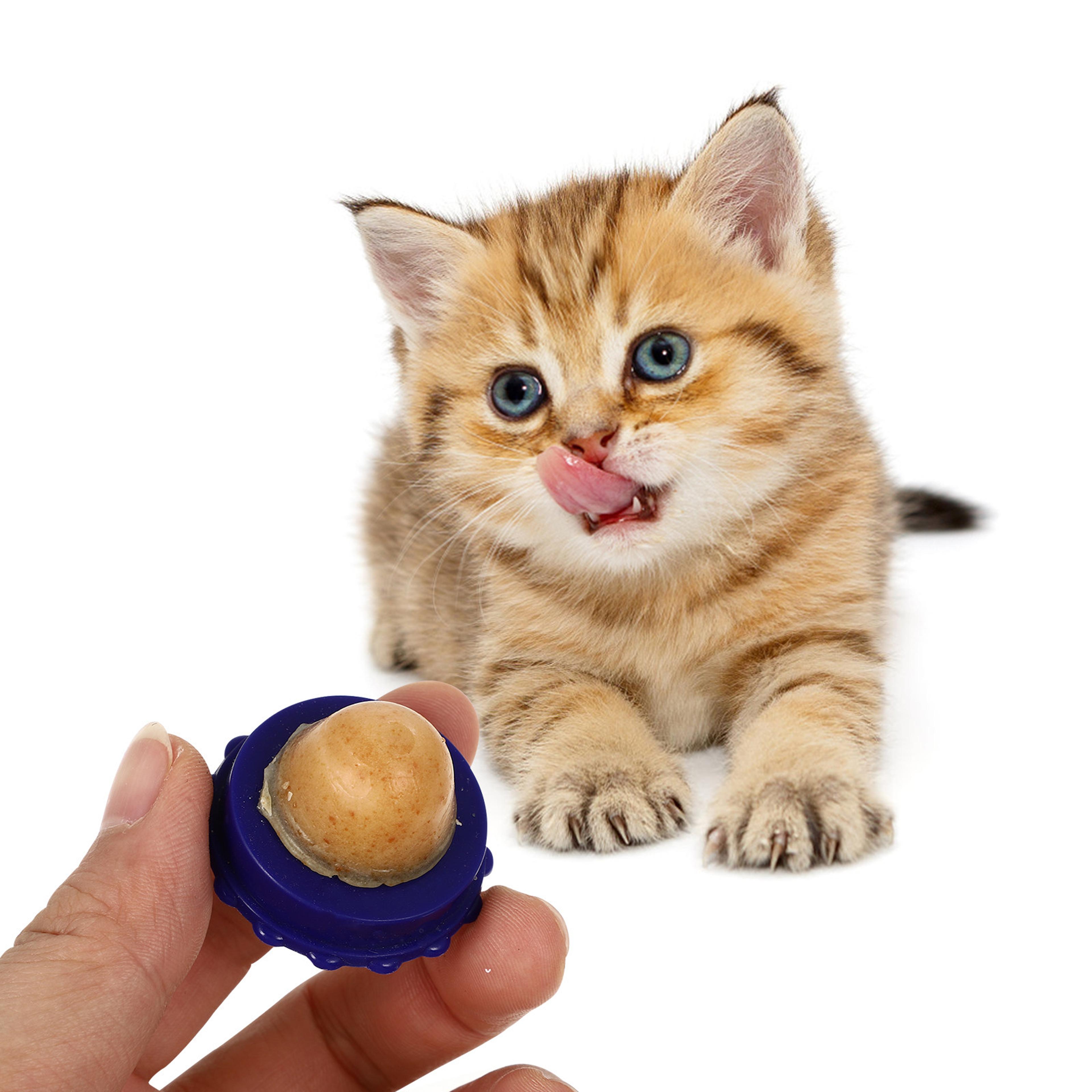 purrfresh catnip hairball relief lick ball treat for digestion, hydration & play