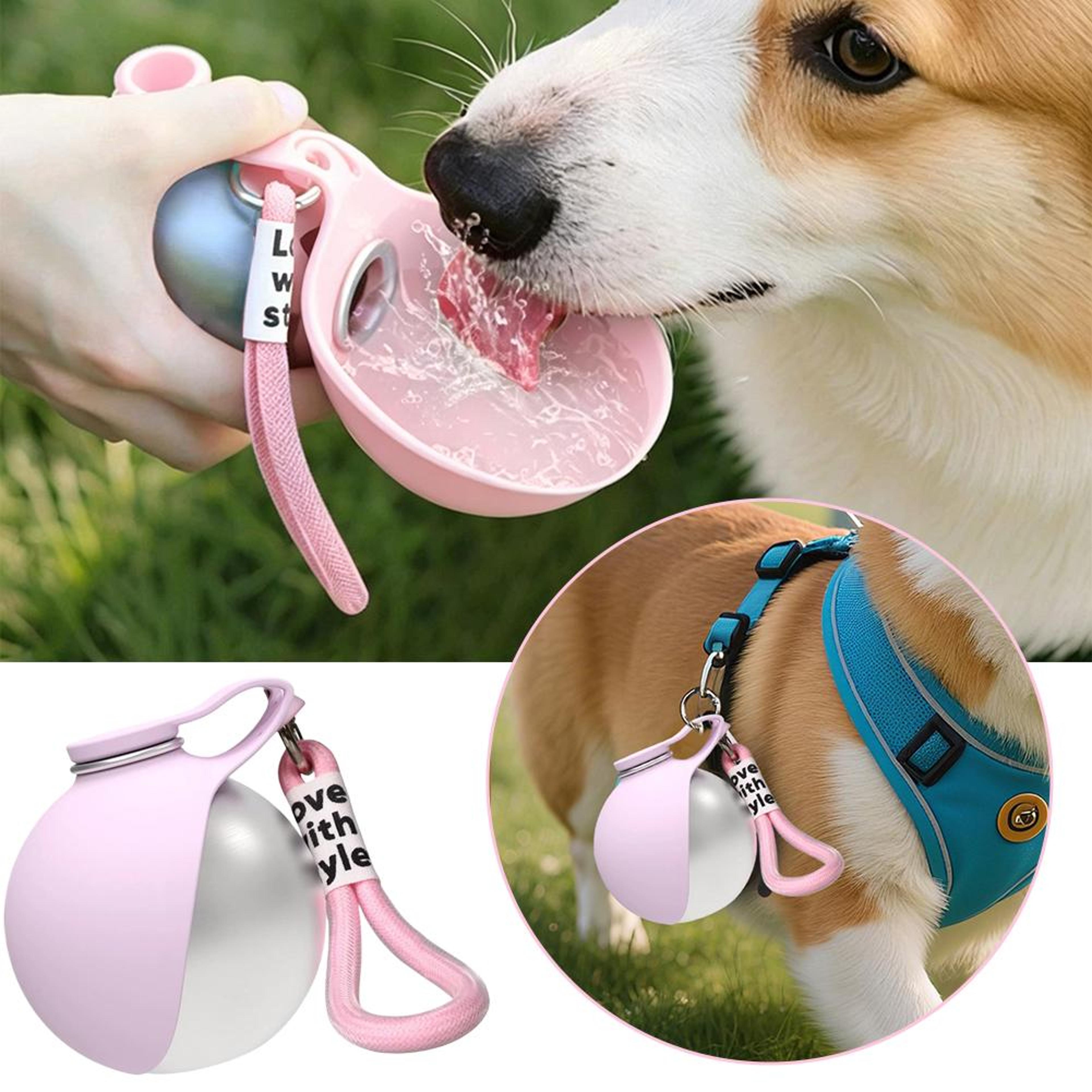 portable dog water bottle & foldable travel bowl set