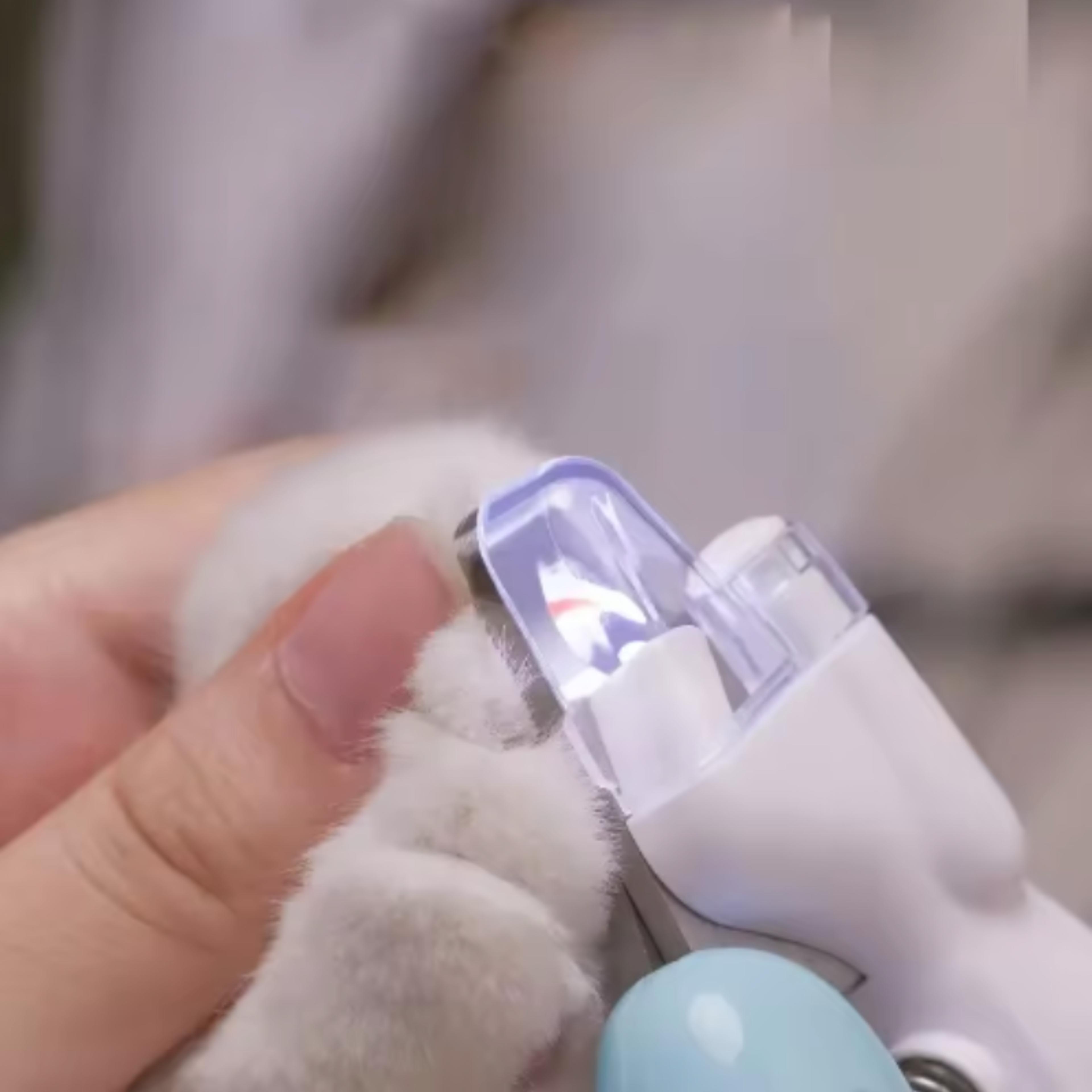 led pet nail clipper for dogs & cats with precision stainless steel blades