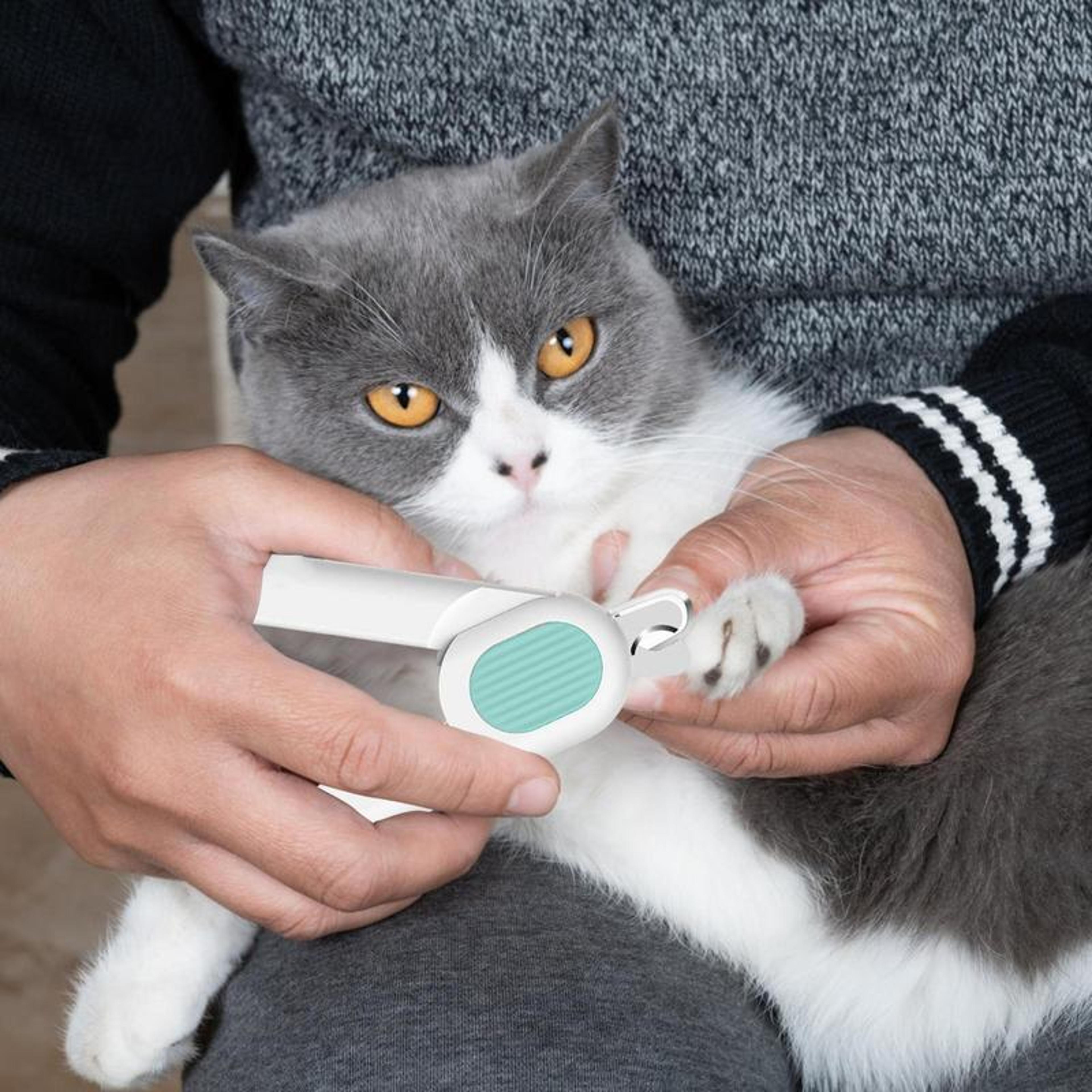 led precision pet nail clippers for dogs, cats & small pets safe grooming trimmer