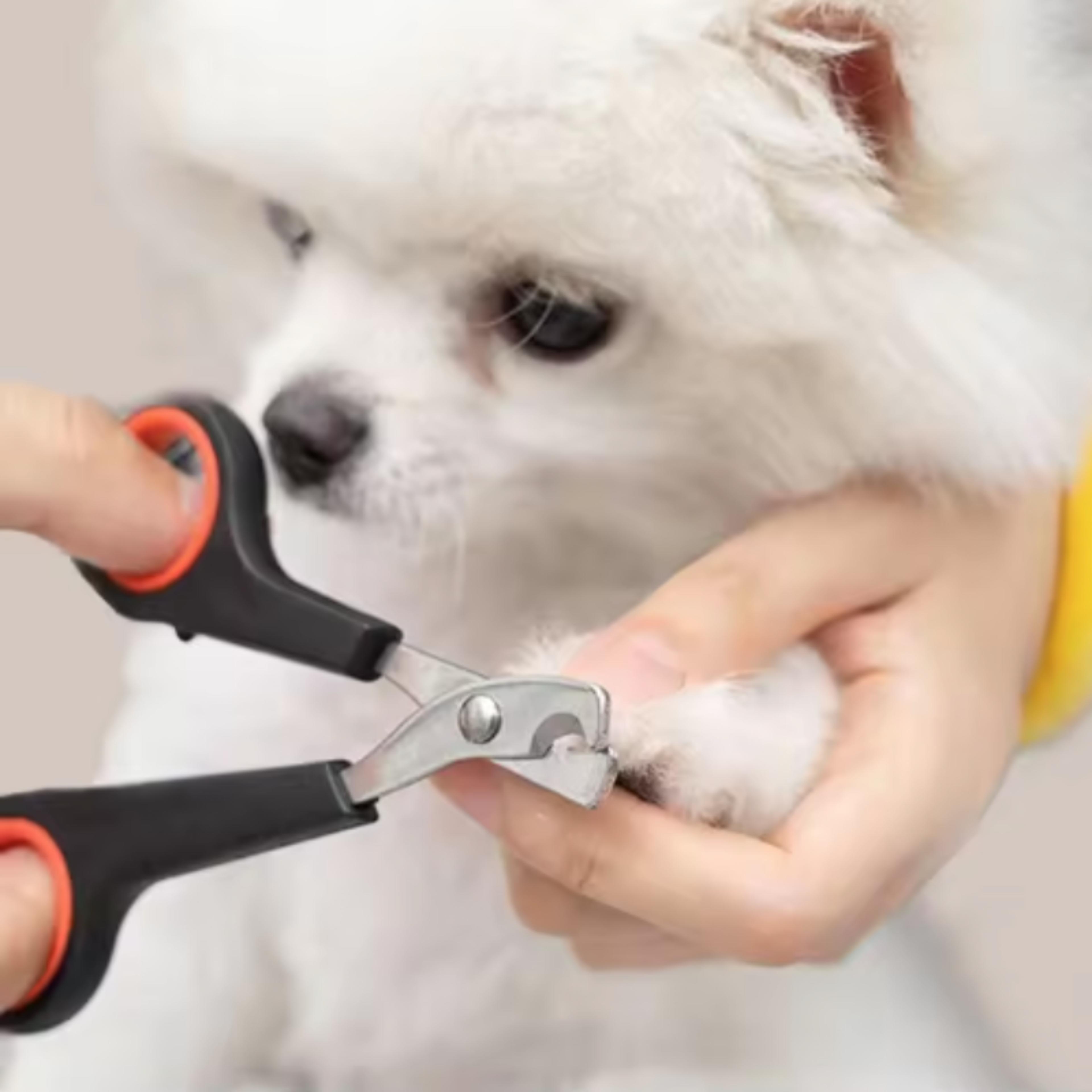 pet nail clippers for dogs & cats safe precision grooming trimmer