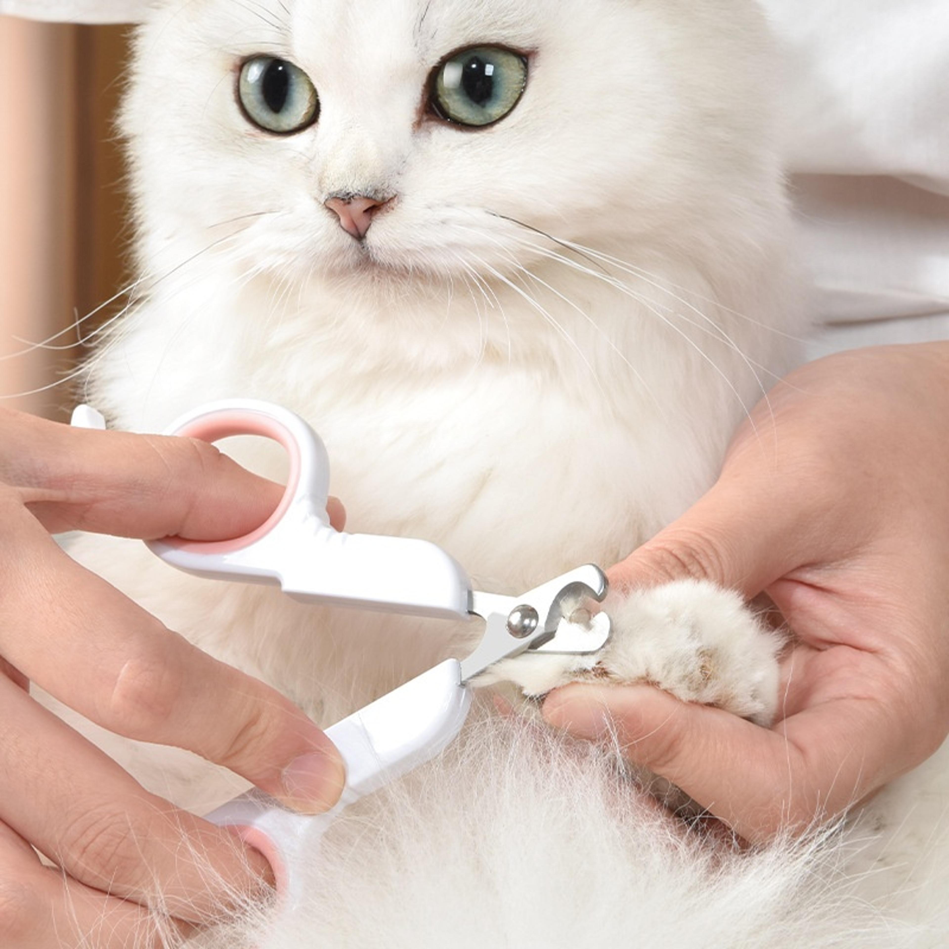 professional pet nail clippers & dog nail trimmer ergonomic stainless steel grooming tool for cats & puppies
