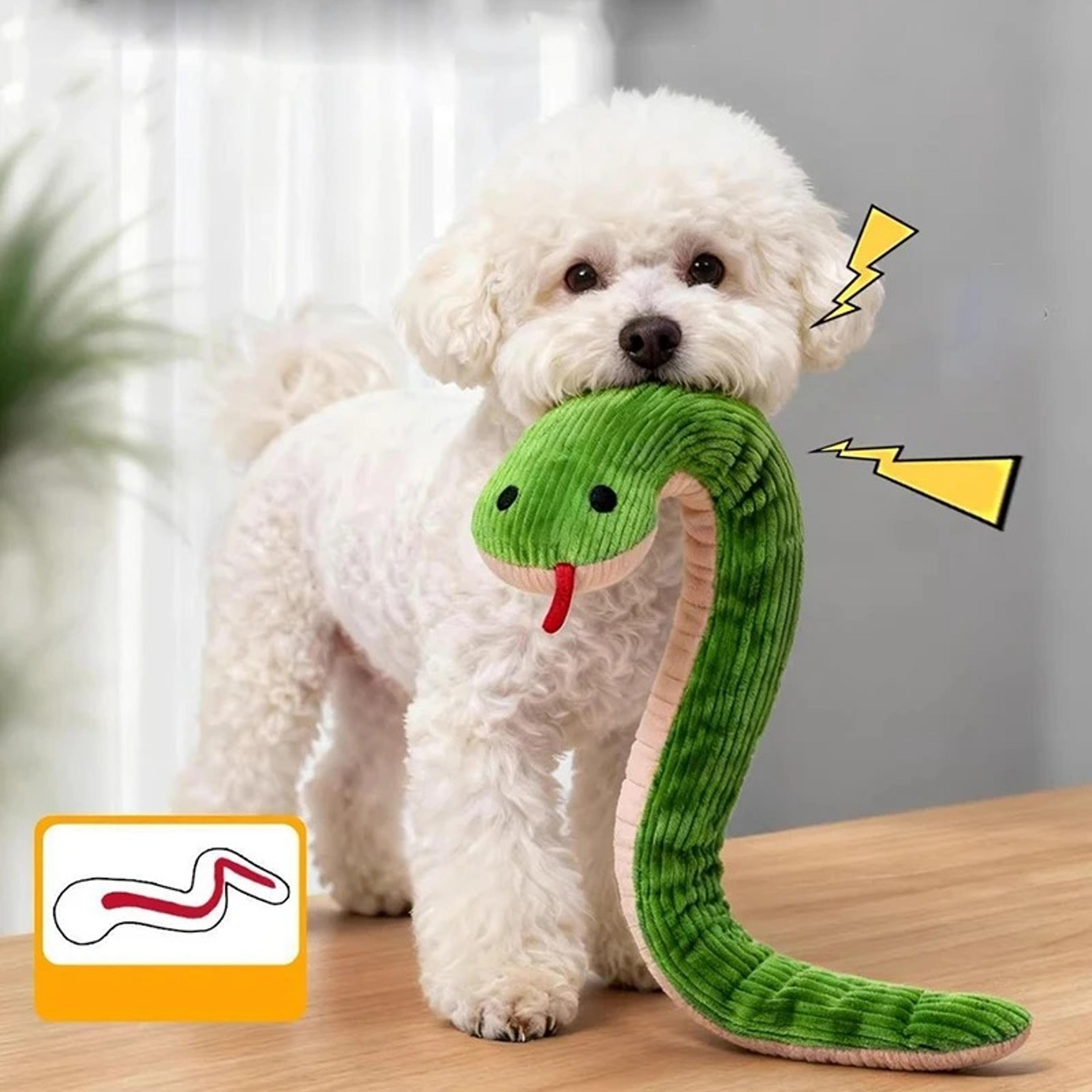 interactive playful snake cat toy indoor kitten kick toy for active pets