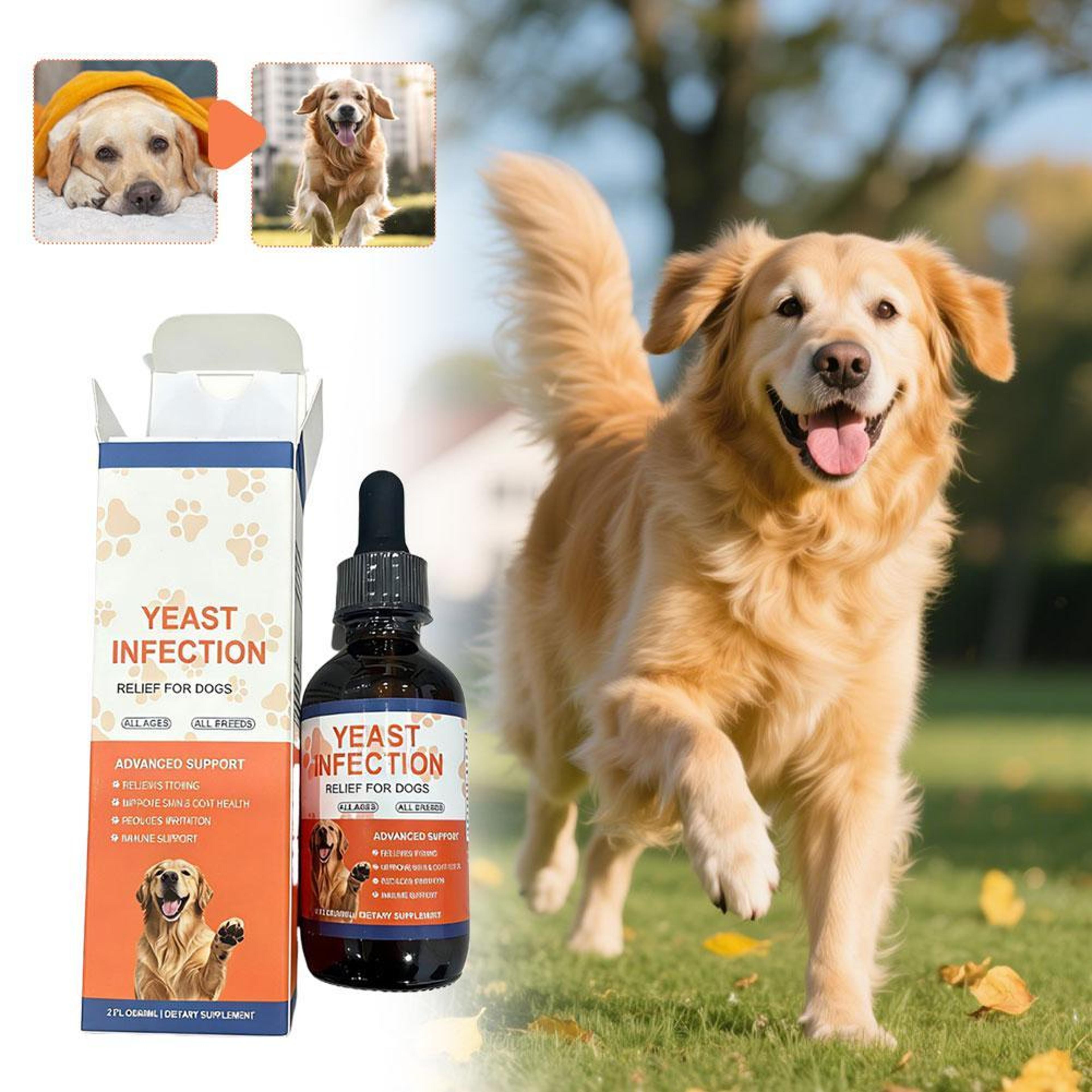 pet gut & skin support yeast drops for dogs & cats digestive health & itch relief formula