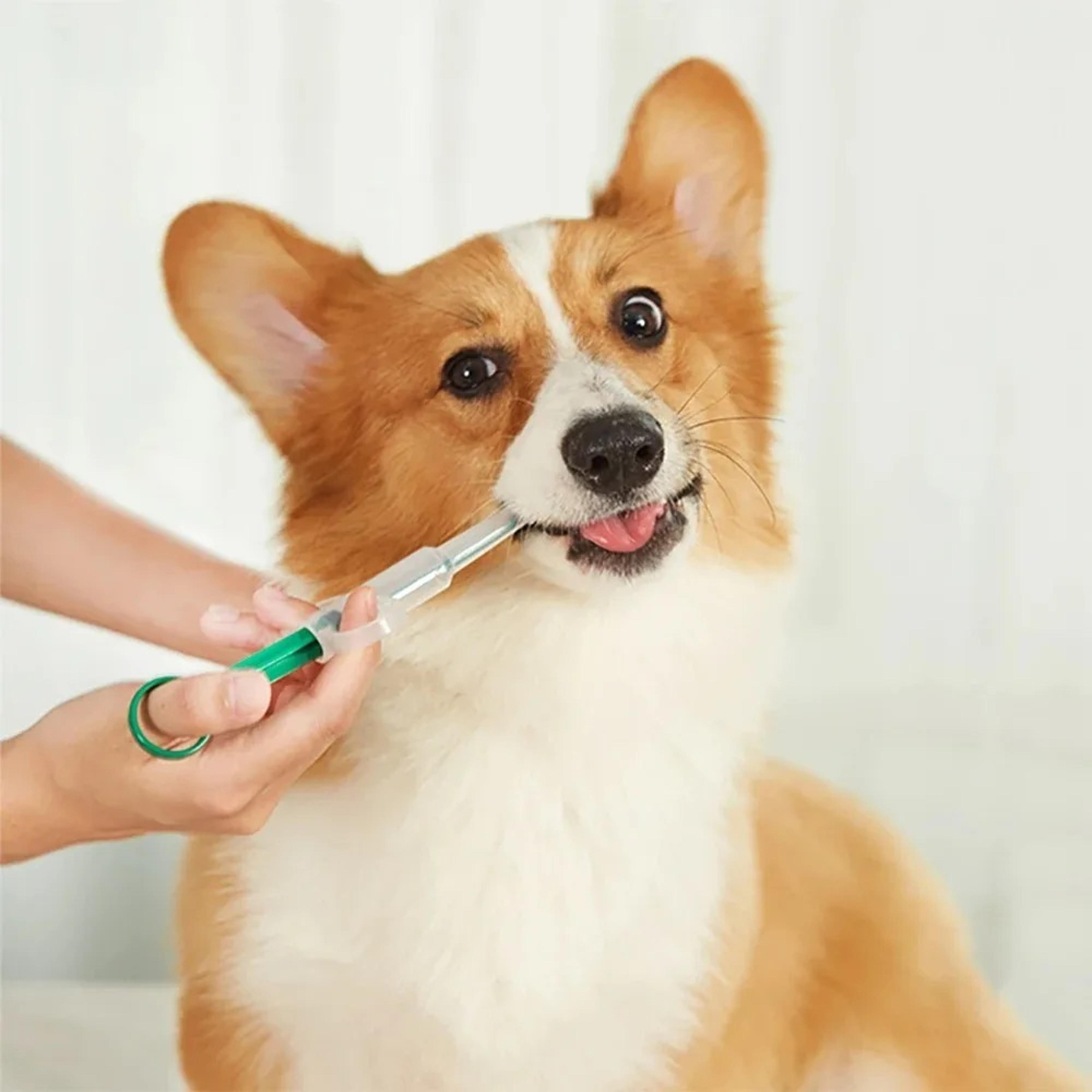 press style pet medicine feeder & pill dispenser for dogs and cats easy pet pill syringe medication tool