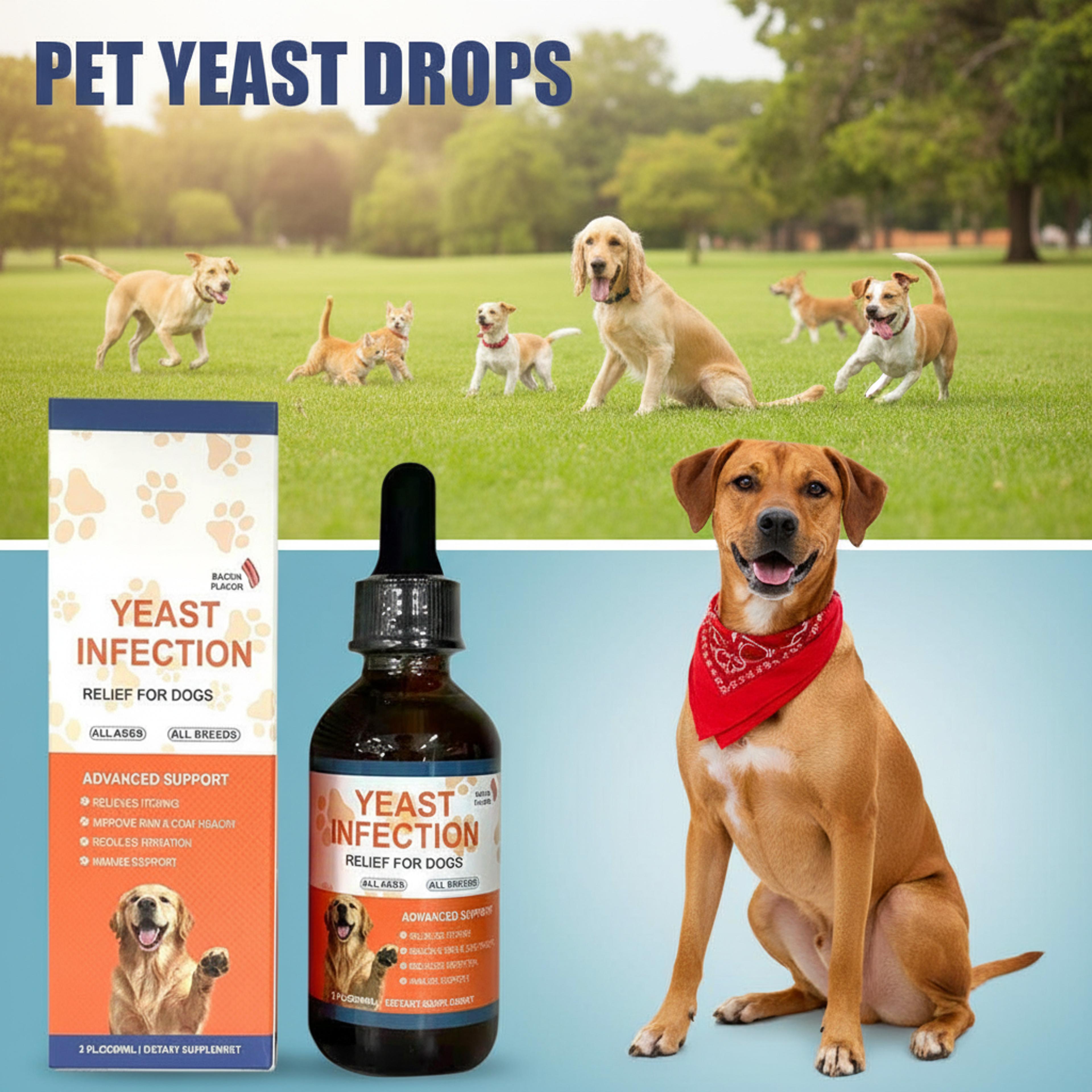 premium 60ml pet yeast drops gut health supplement for dogs & cats with advanced digestive support
