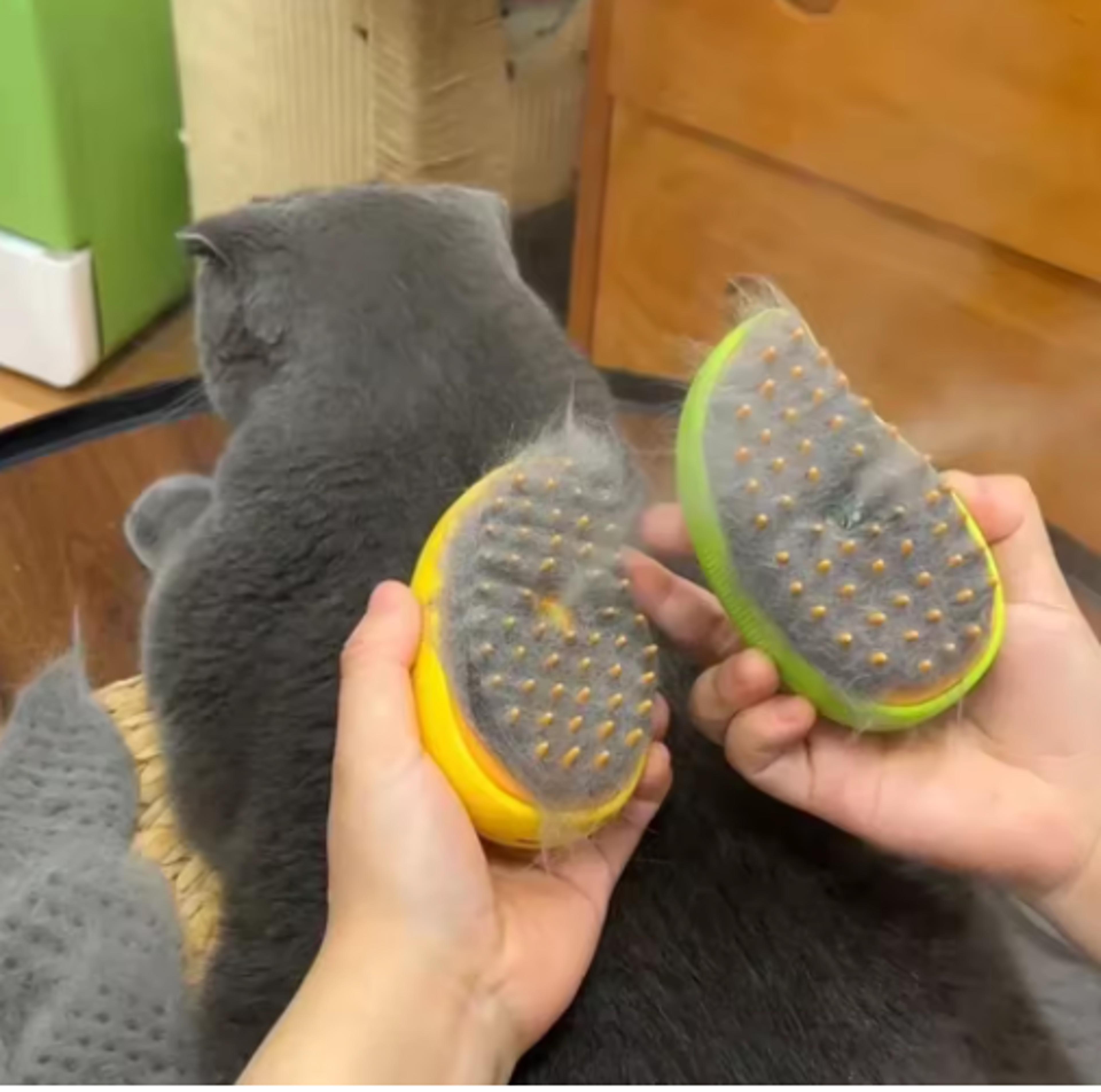premium 3 in 1 electric pet grooming brush steam spray, massage & shedding tool