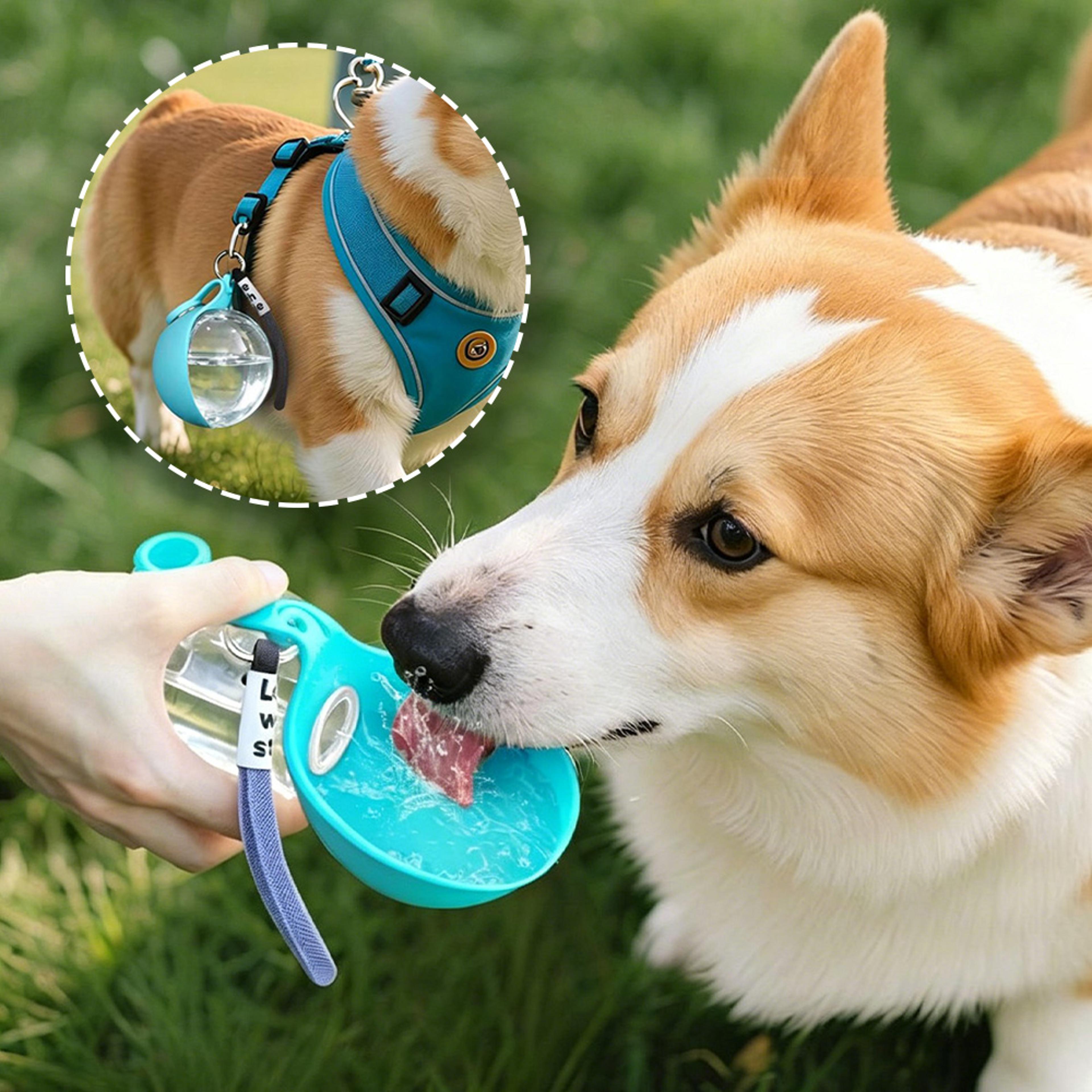 premium portable dog water bottle 285ml leak proof travel pet water dispenser