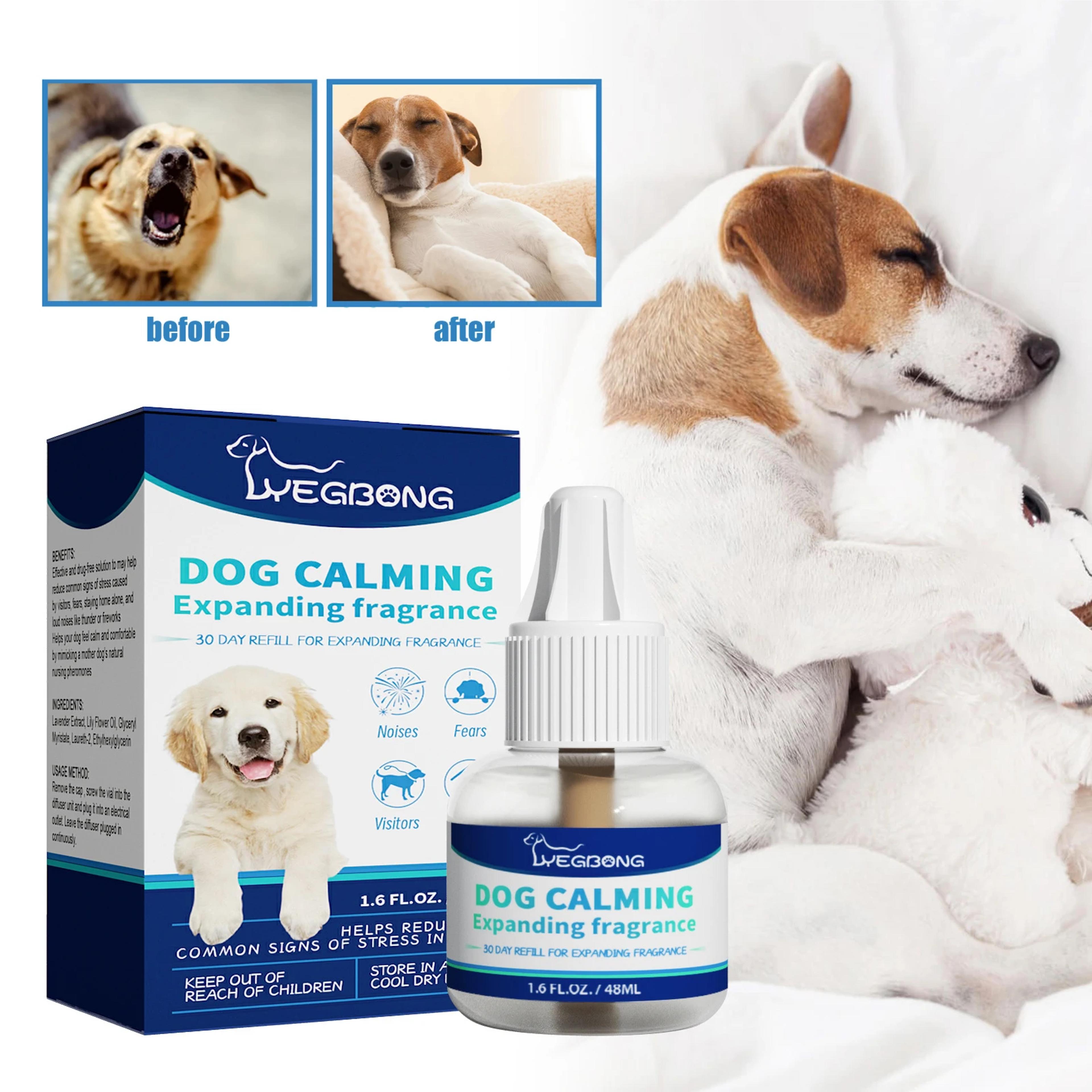 pet calming liquid for dogs & cats pet calming liquid for anxiety & stress relief