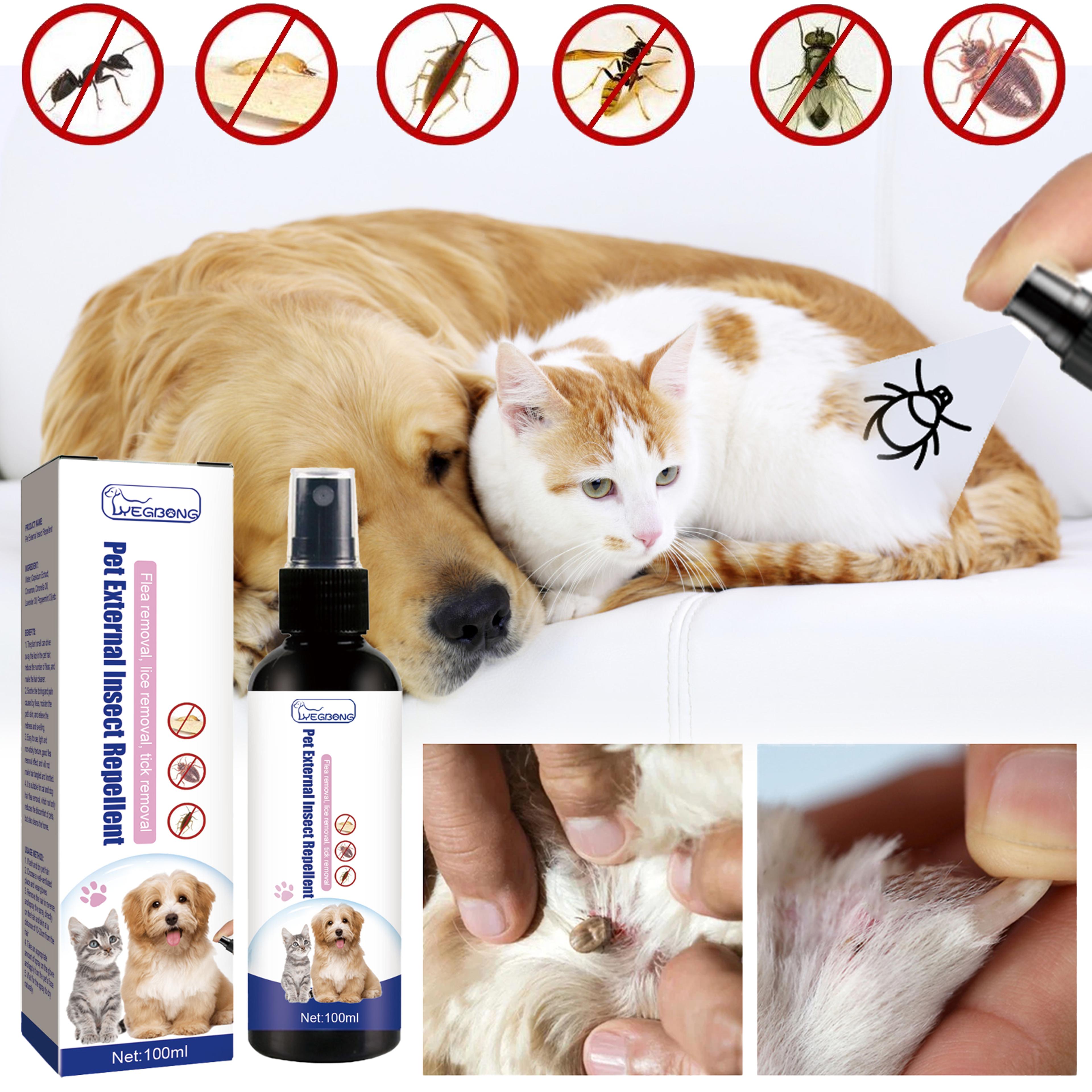 natural plant based flea & tick spray for dogs & cats essential oil flea treatment & repellent