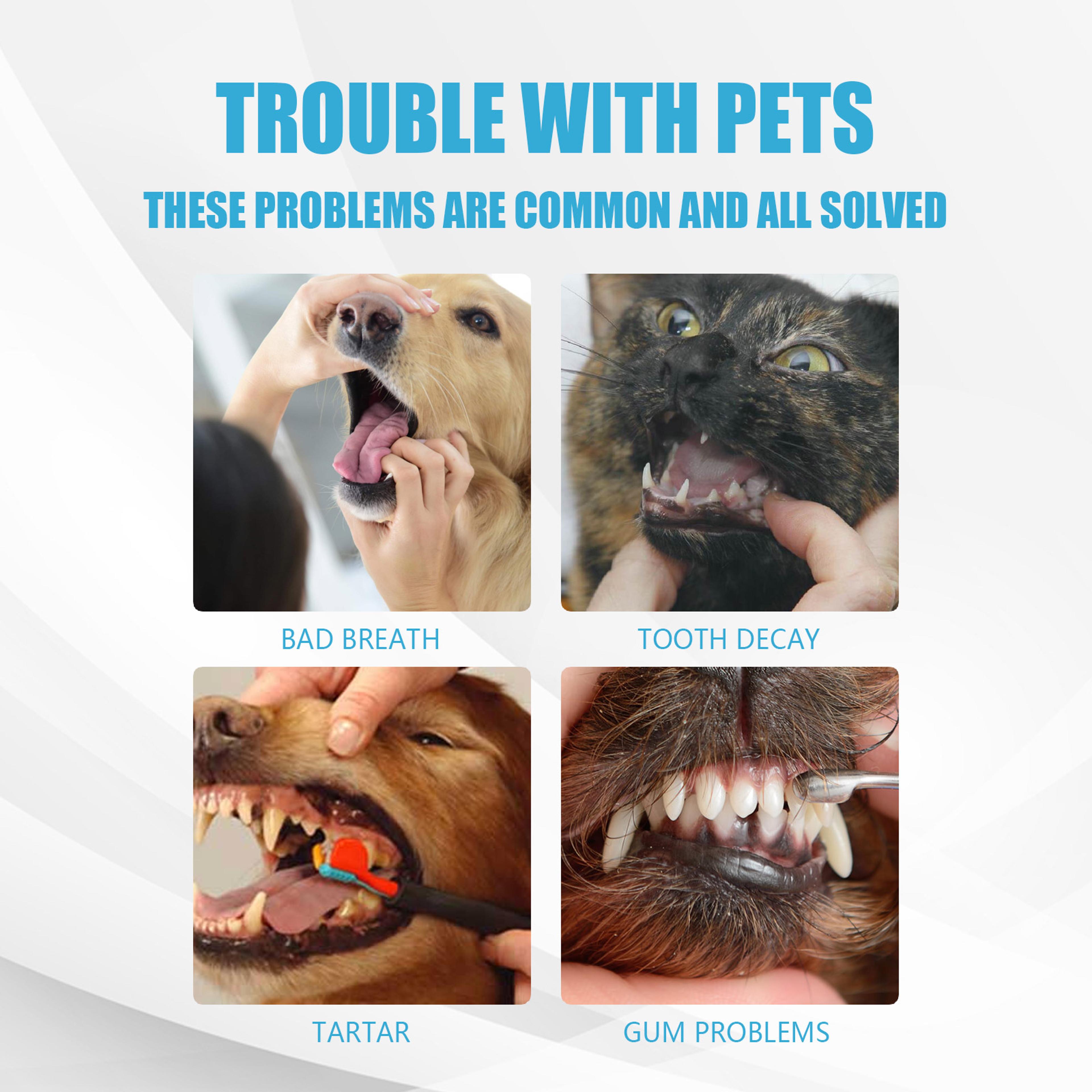 edible pet toothpaste for dogs & cats dog toothpaste, cat toothpaste, oral care formula