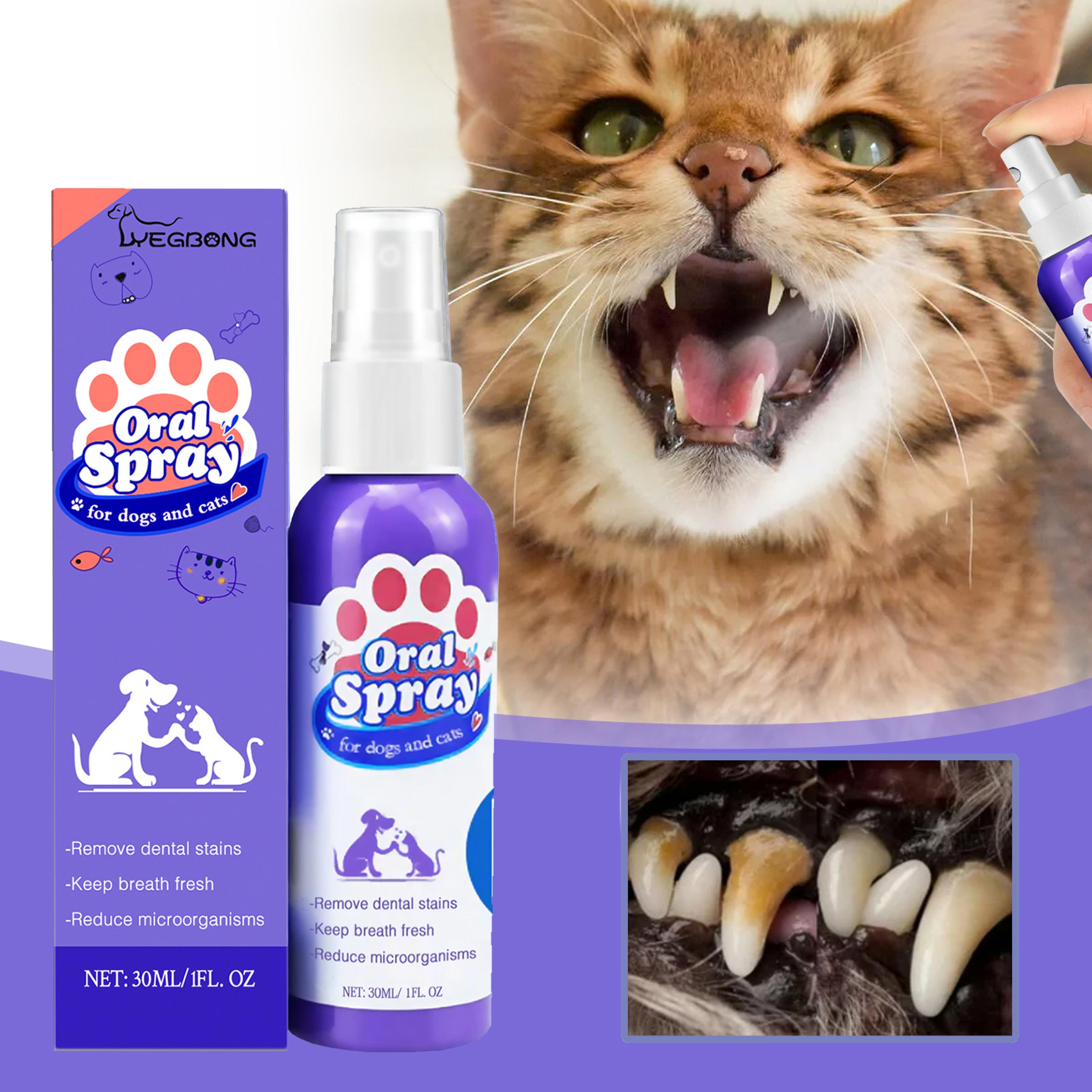 dental care spray for dogs & cats dog dental spray for fresh breath & tartar control