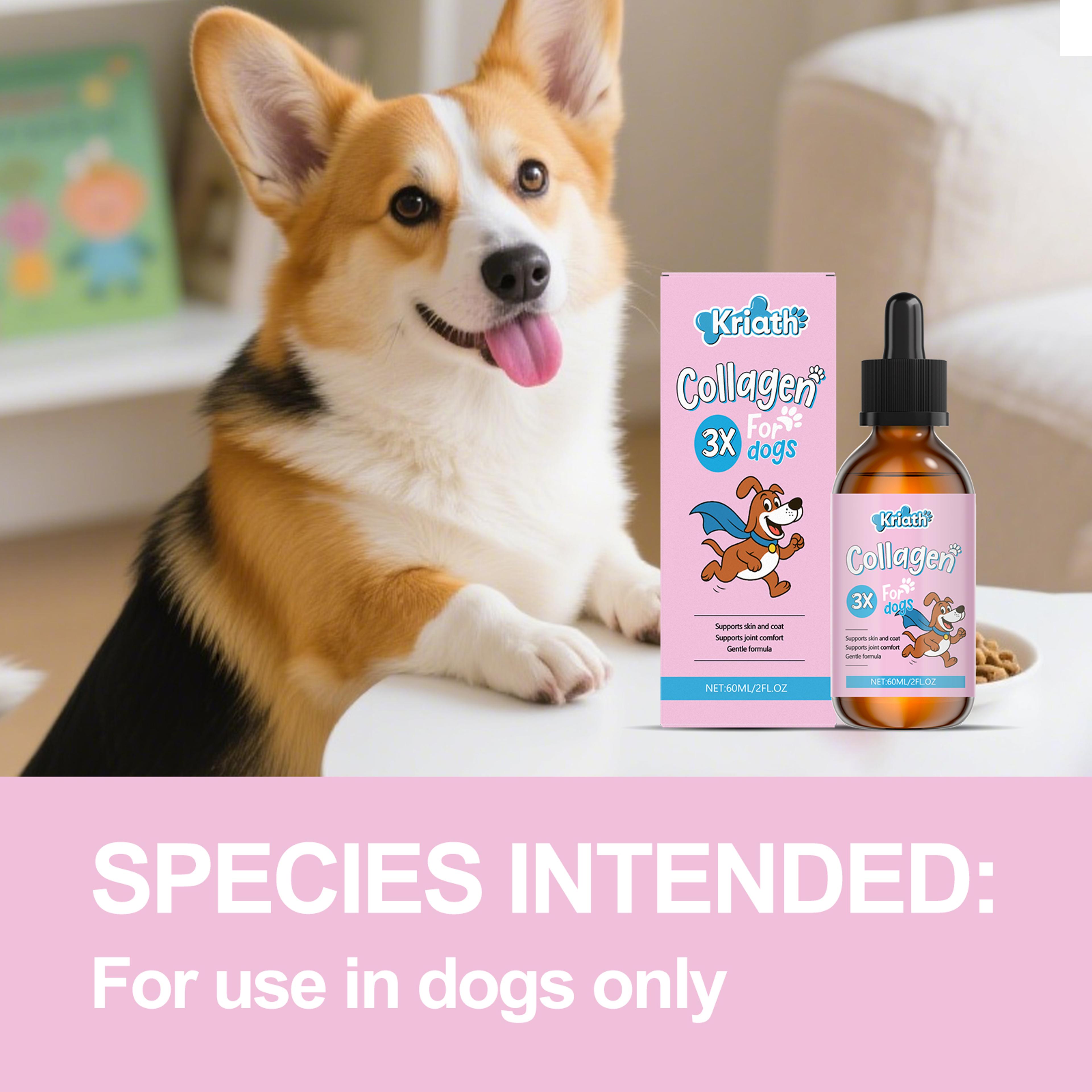liquid collagen for dogs digestive & skin support drops