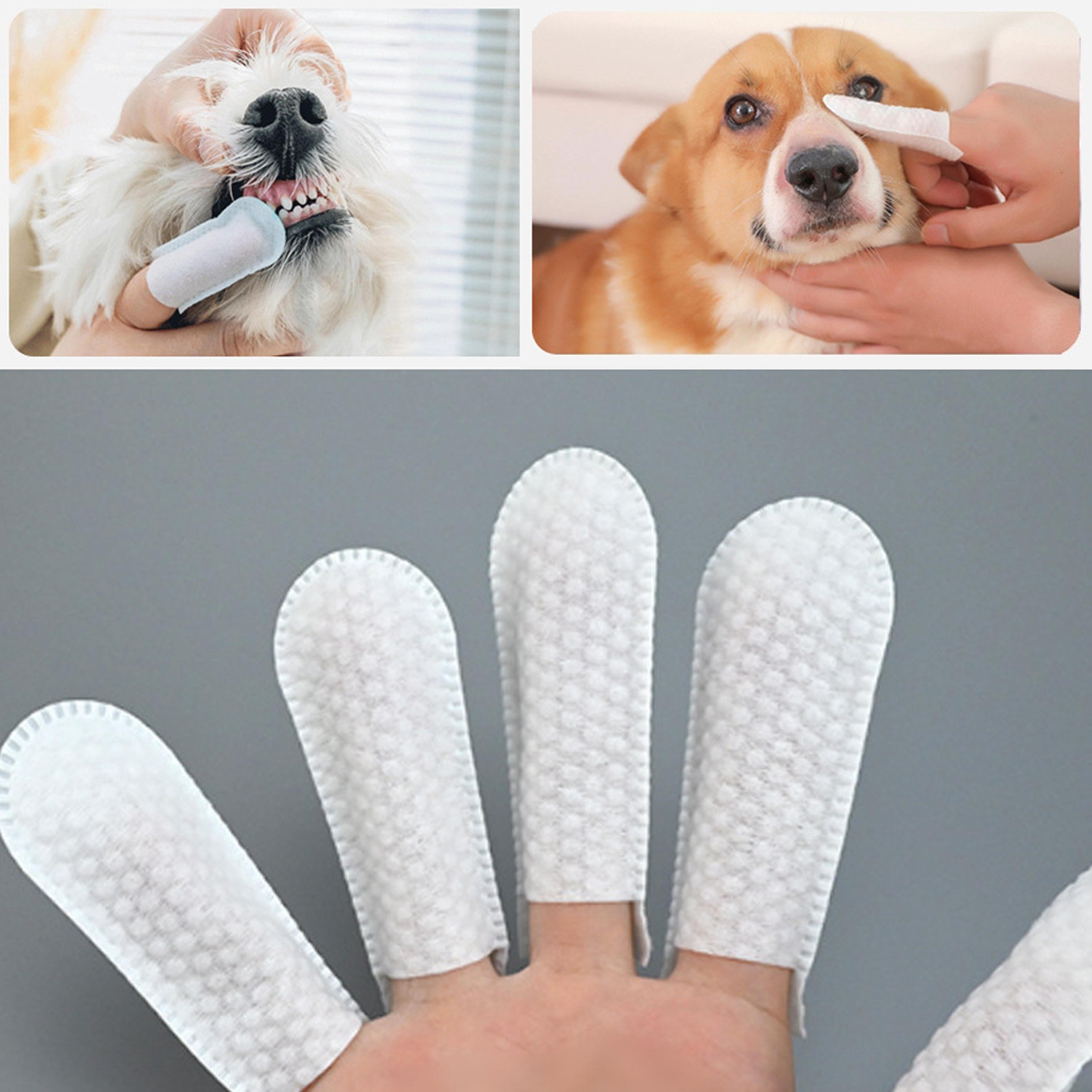 disposable pet finger wipes for dogs & cats teeth, ear & eye cleaning finger cots