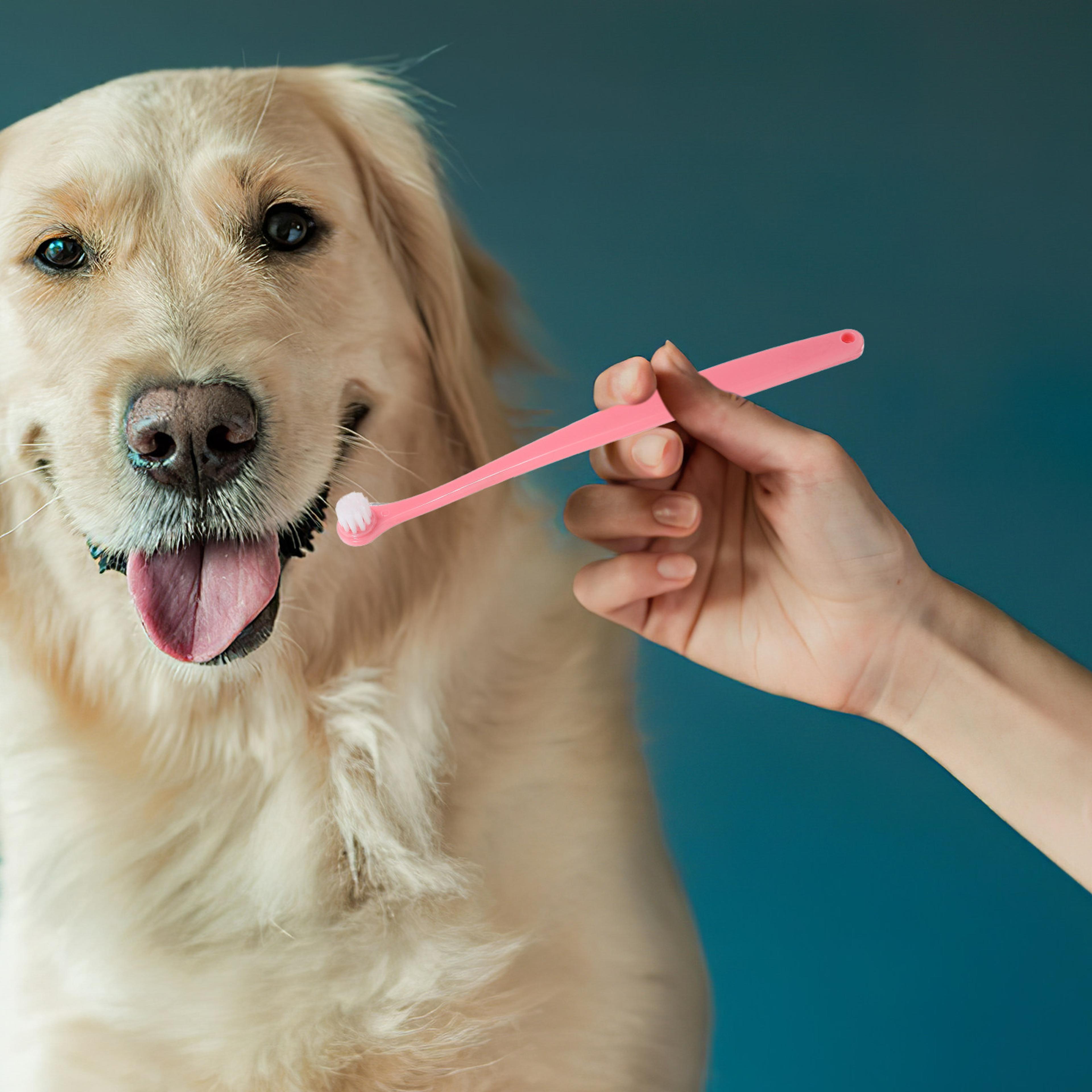 soft bristle ergonomic dog toothbrush for pet dental care puppy teeth cleaning brush