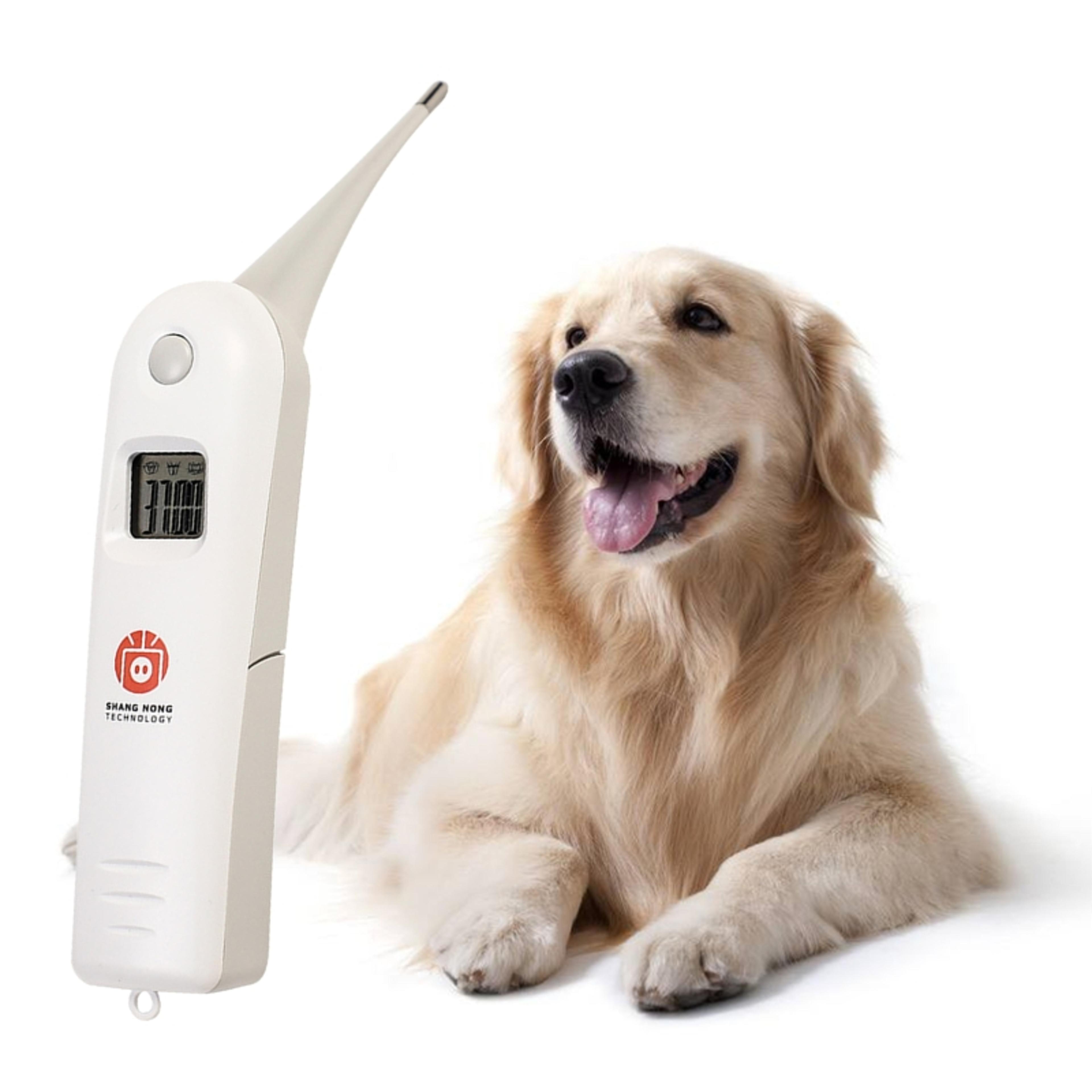 smart veterinary digital livestock thermometer for pets, cattle, horses & farm animals fast accurate reading