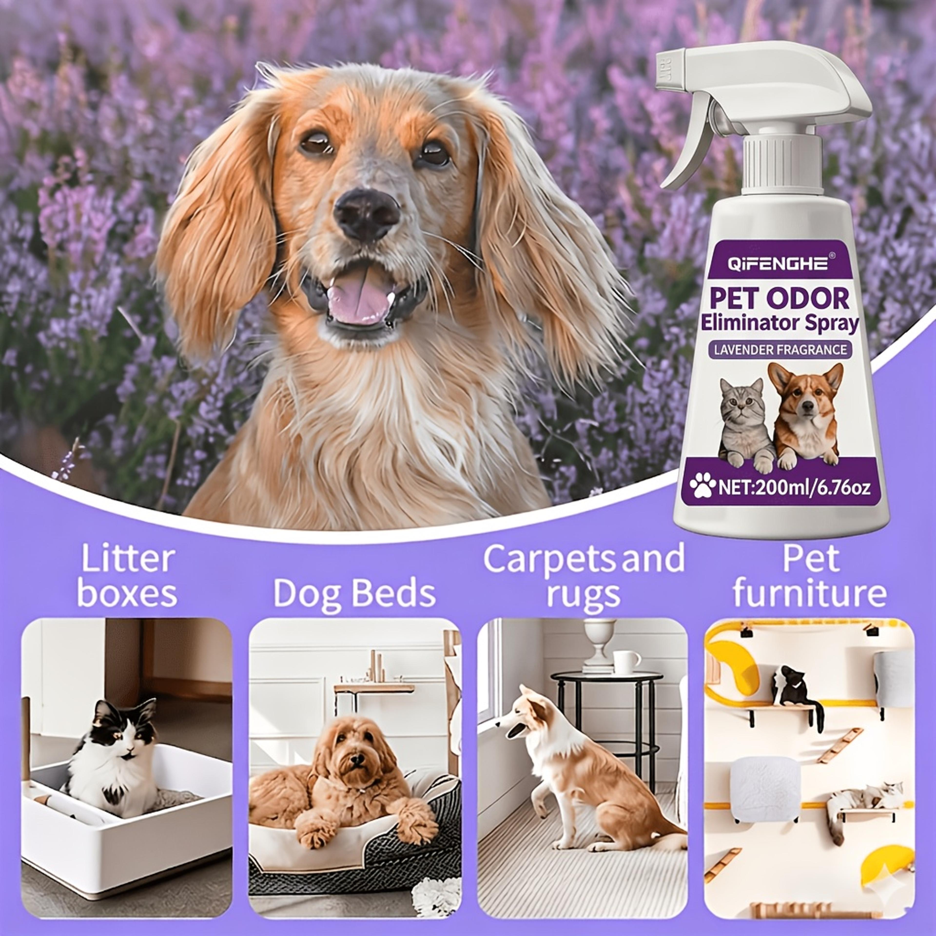 pet urine odor remover spray dog & cat urine smell eliminator fast-drying pet safe formula