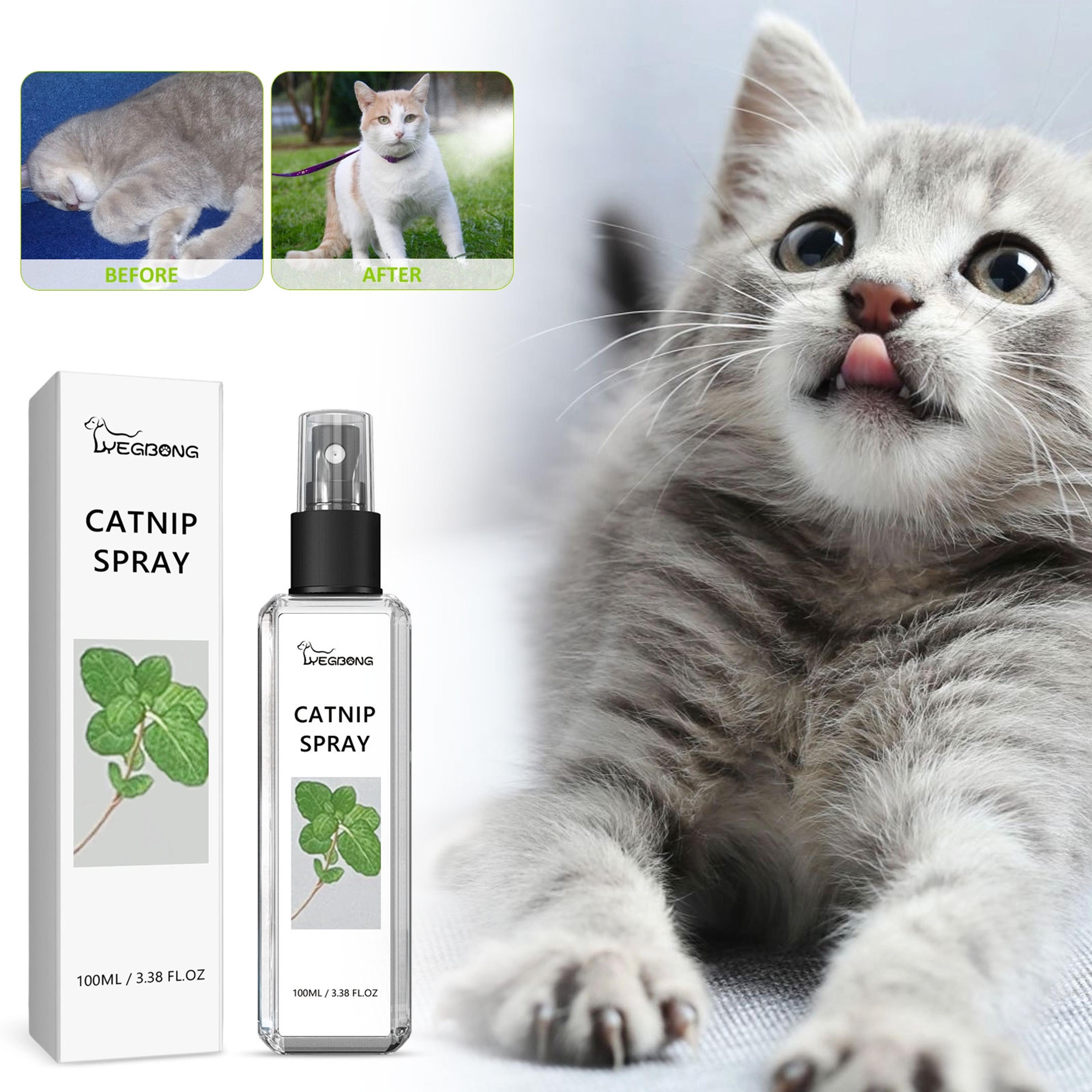 natural catnip spray for cats scratching training & behavior enrichment mist