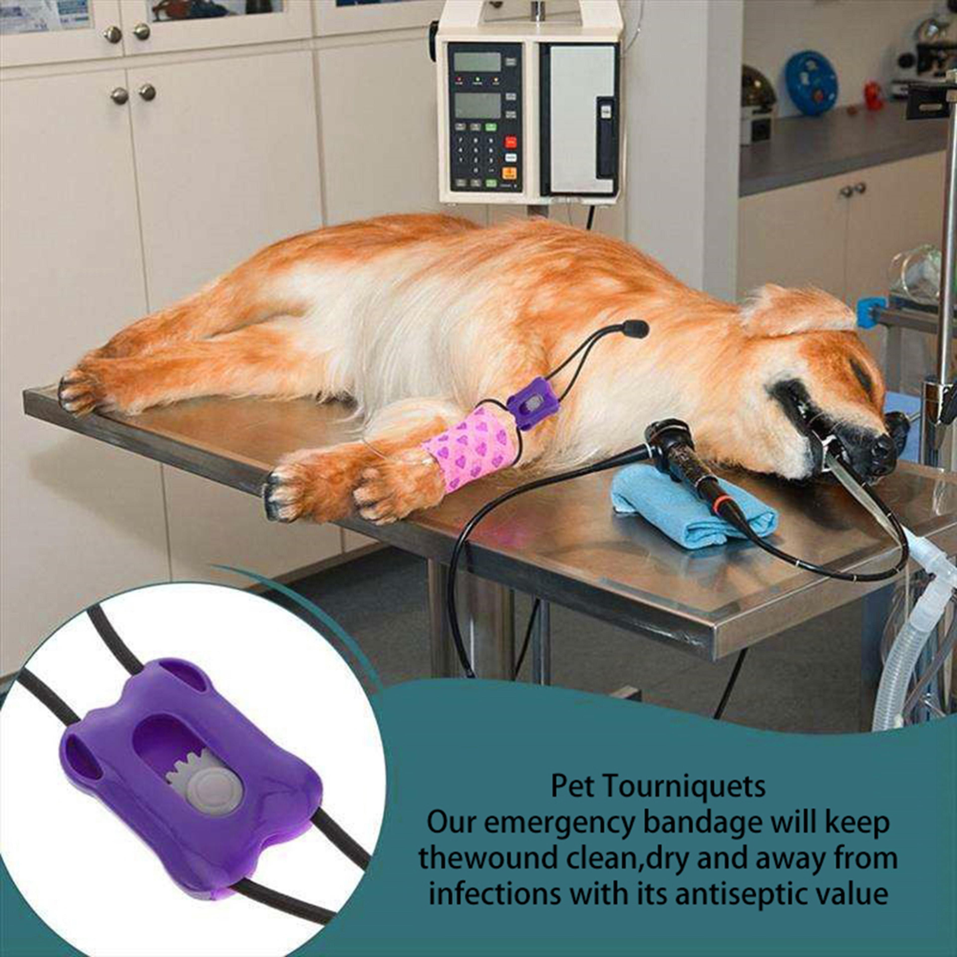 pet emergency tourniquet animal pulse pressure band for dogs and cats first aid safety tool