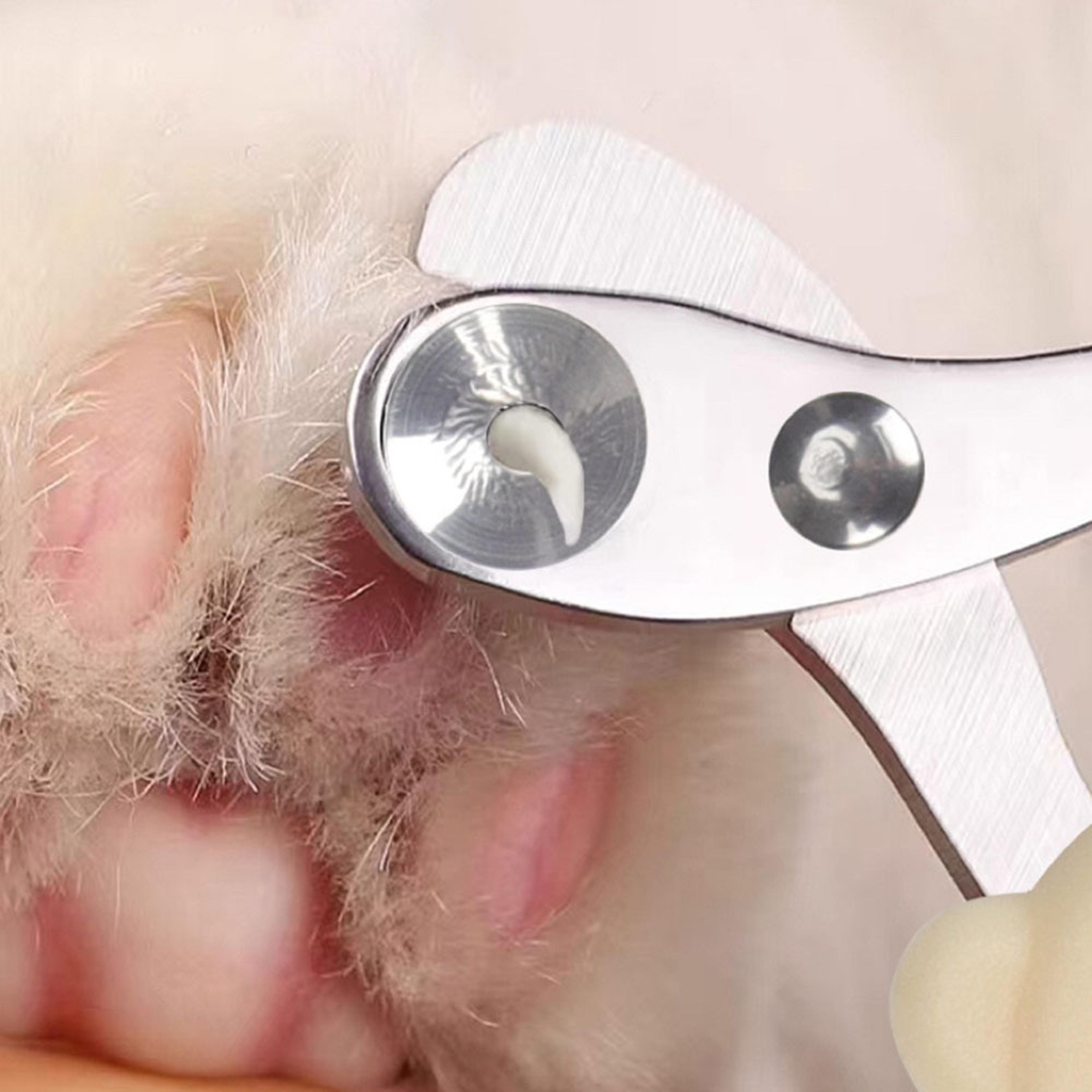 purr safe precision cat nail clippers professional pet nail trimmer for stress-free grooming