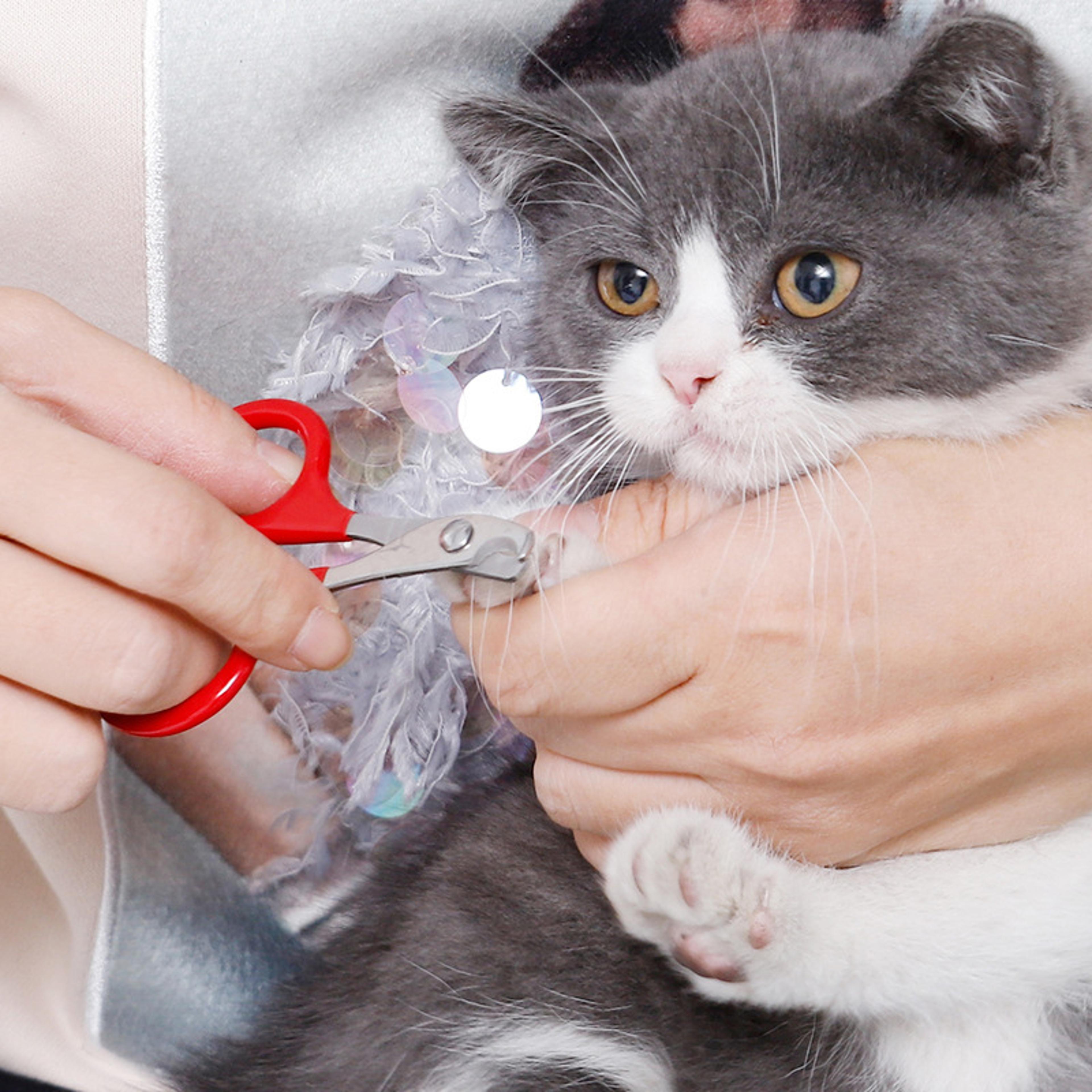 stainless steel cat nail clippers & pet nail trimmer for cats and small dogs