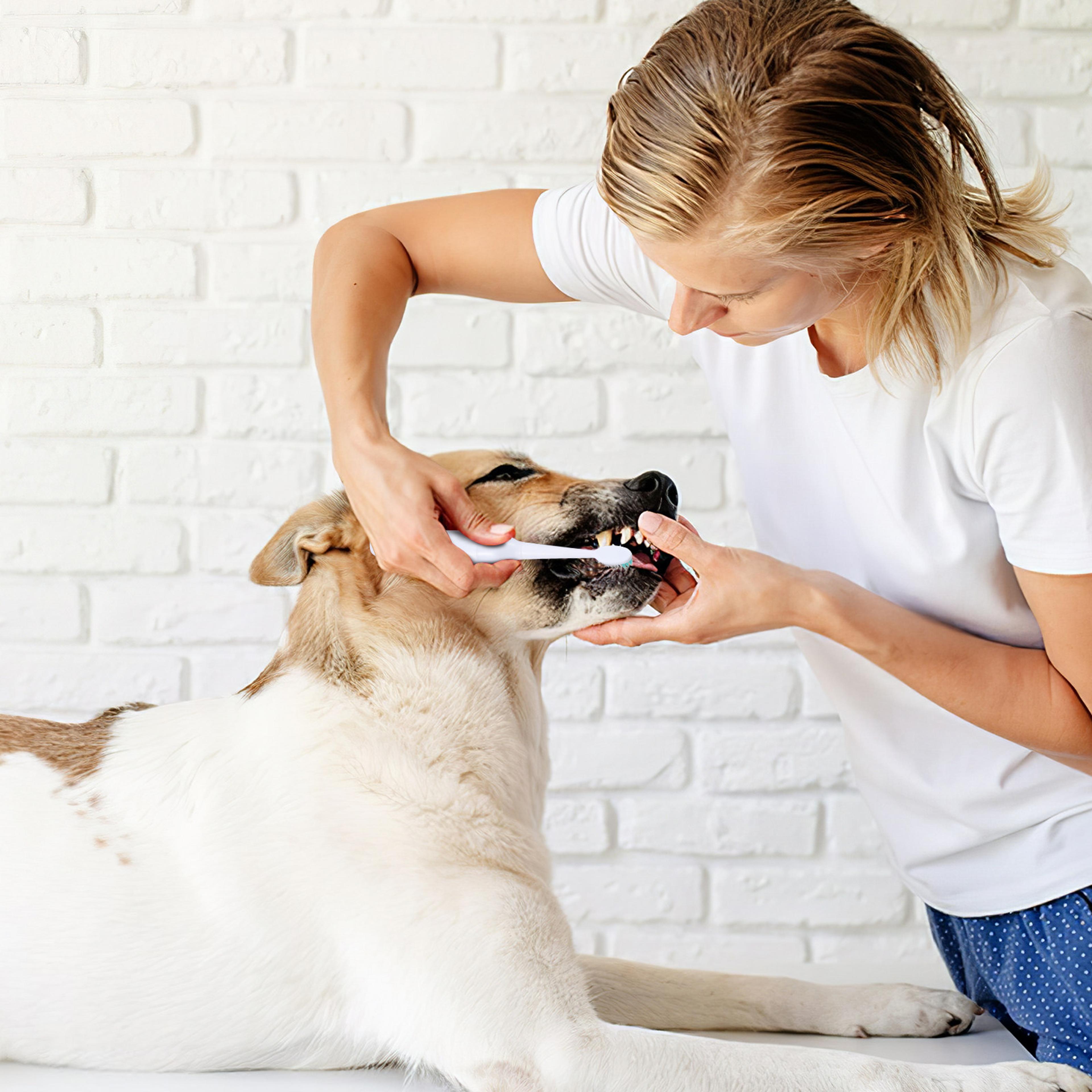 pro pet electric toothbrush for dogs & cats with ultrasonic dental care
