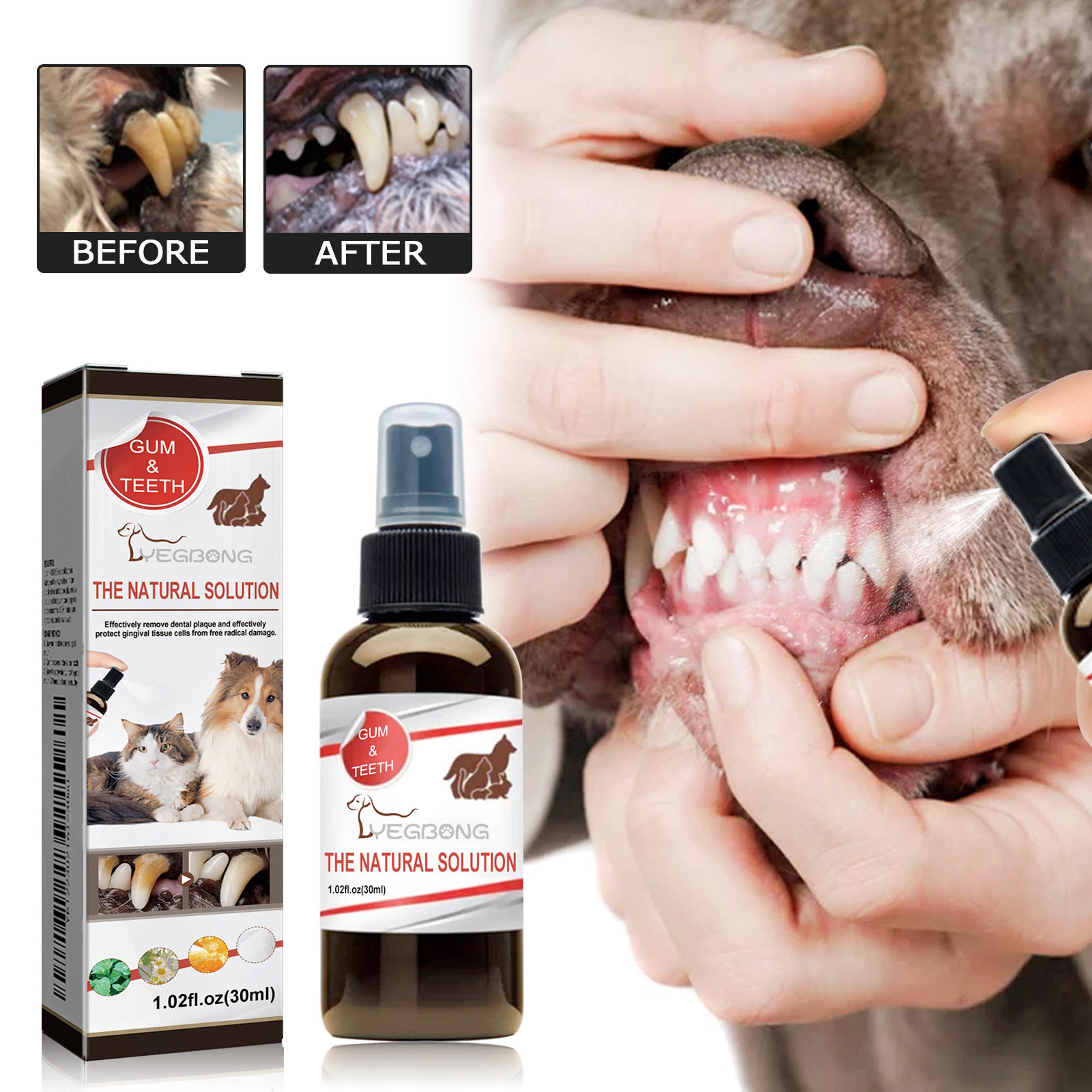 pet dental care spray for dogs & cats pet dental spray for fresh breath & oral hygiene