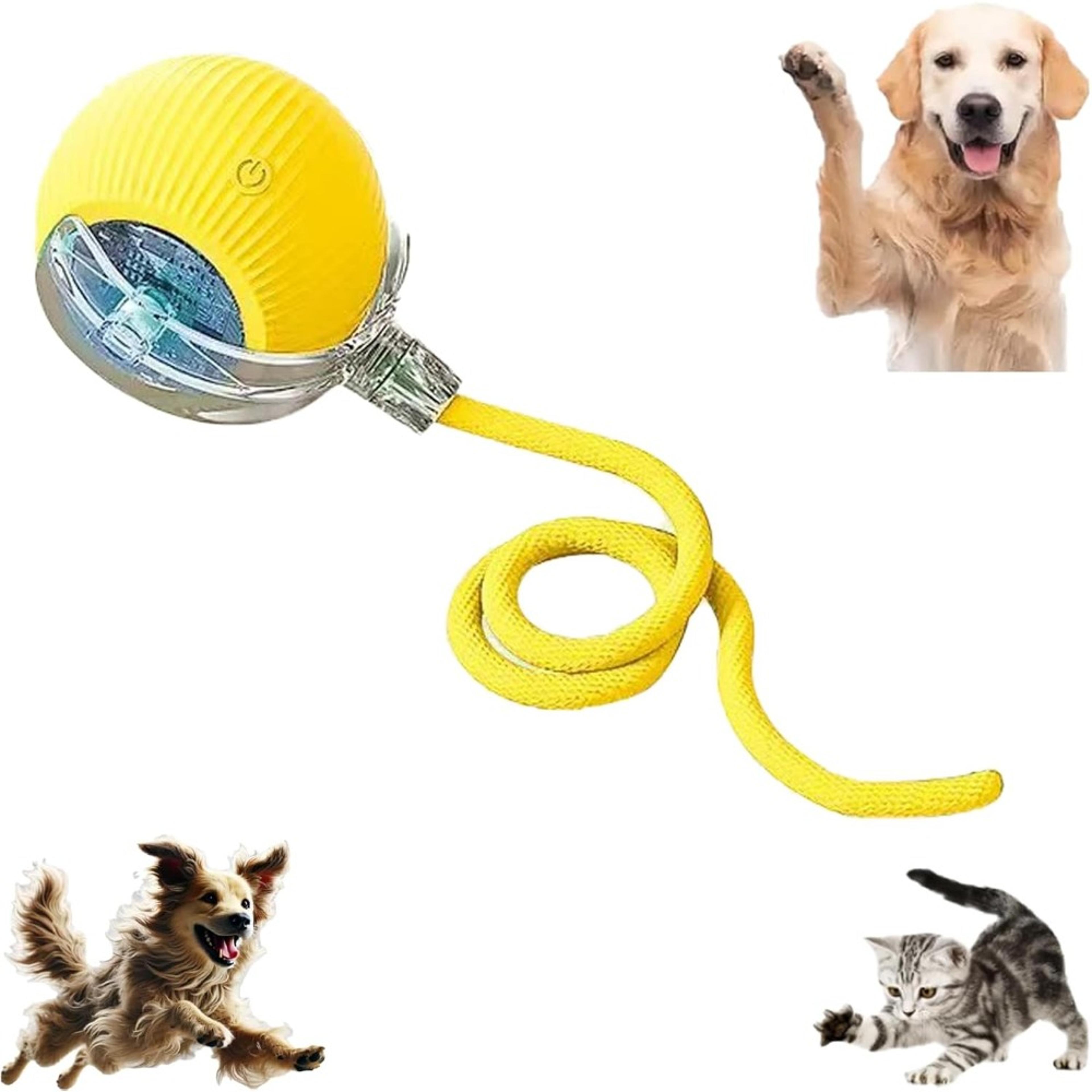 smart chase tail ball interactive cat & dog toy