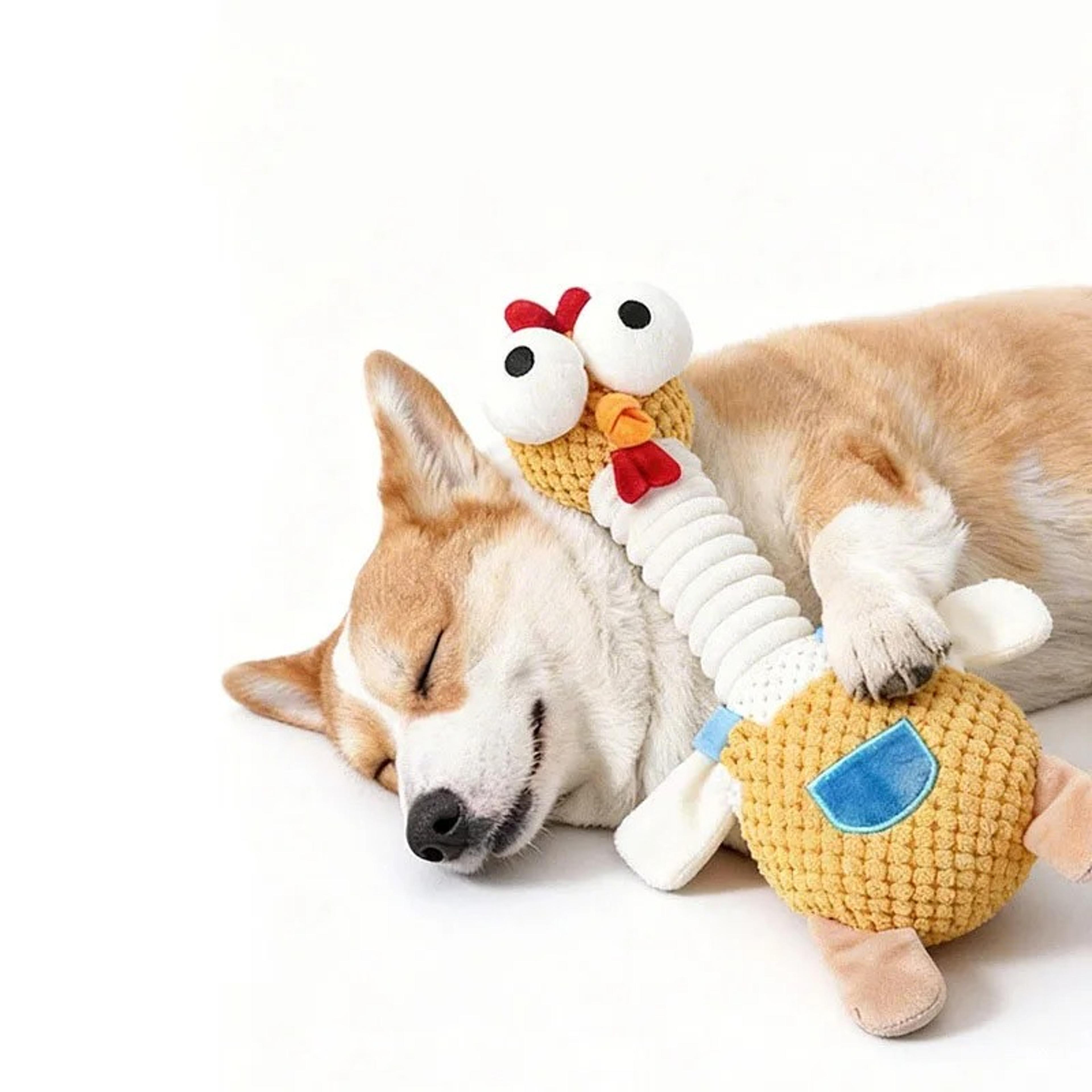 squeaky chicken dog toy for puppies & small dogs bite resistant interactive chew toy